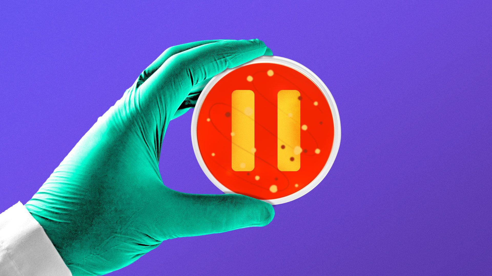 Illustration of hand holding pause Petri dish