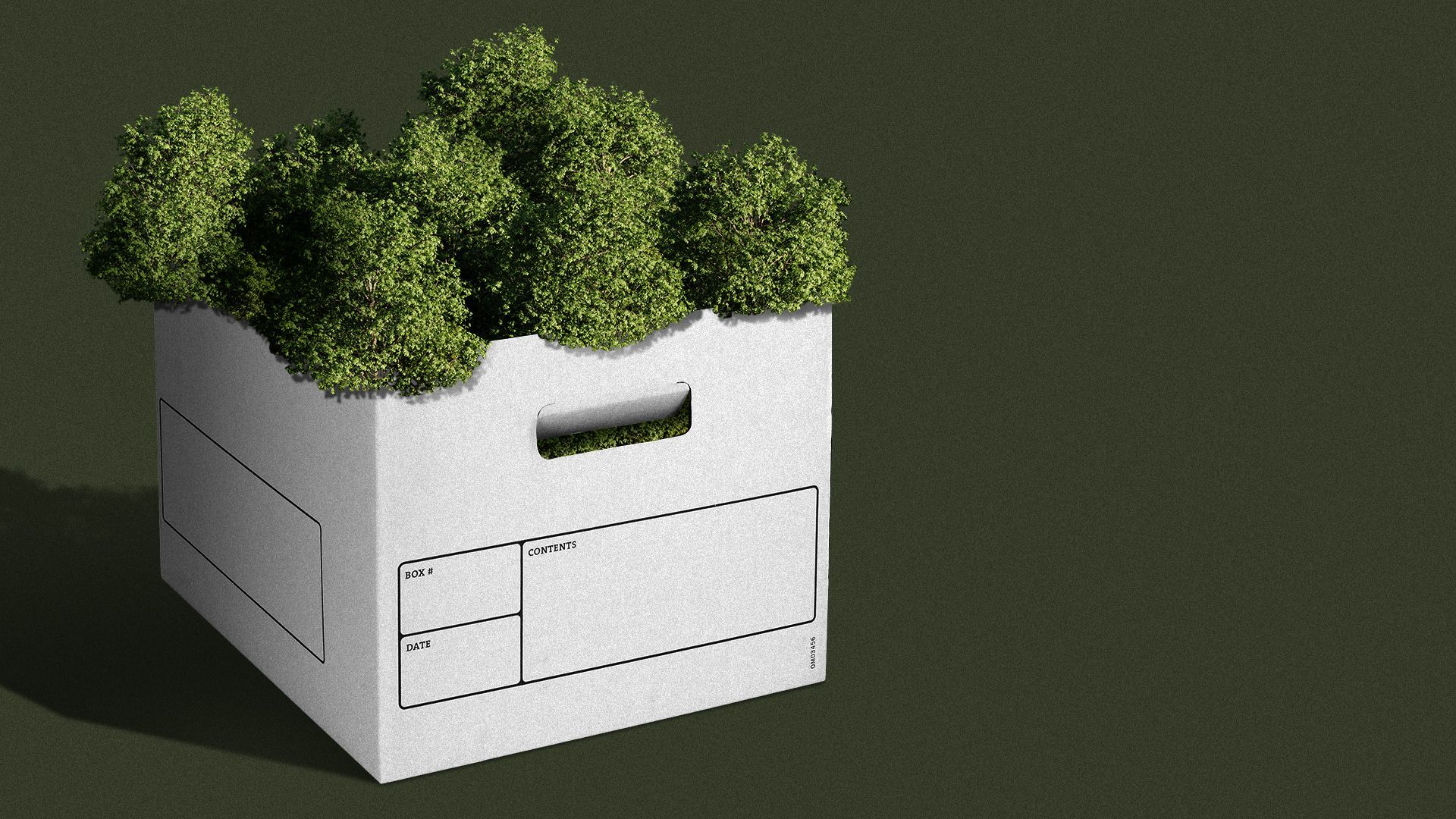 Illustration of trees in a file box.