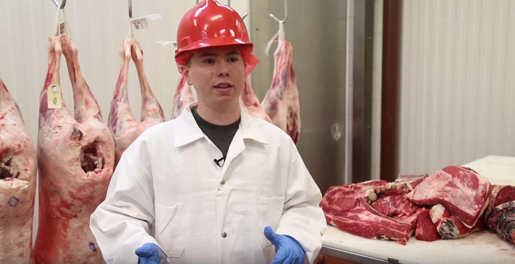 "What is meat judging" video