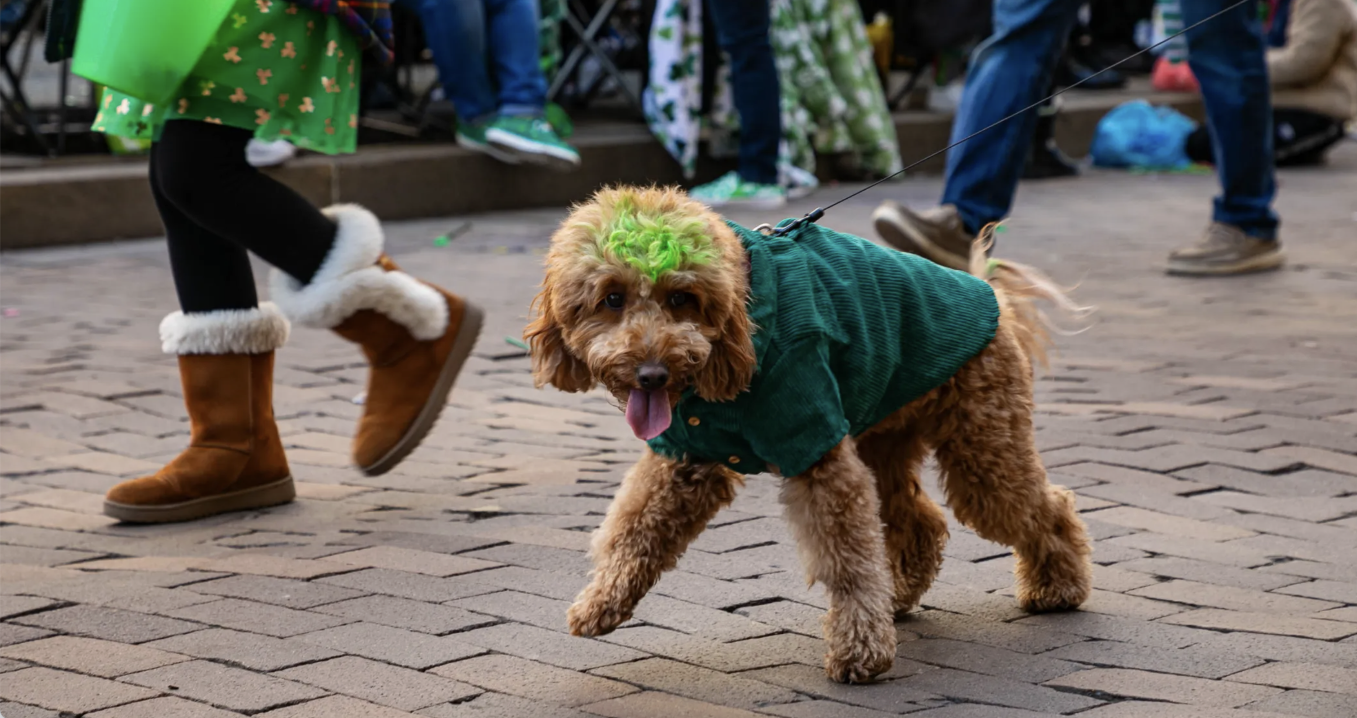 pittsburgh st patricks day parade 2025 parking