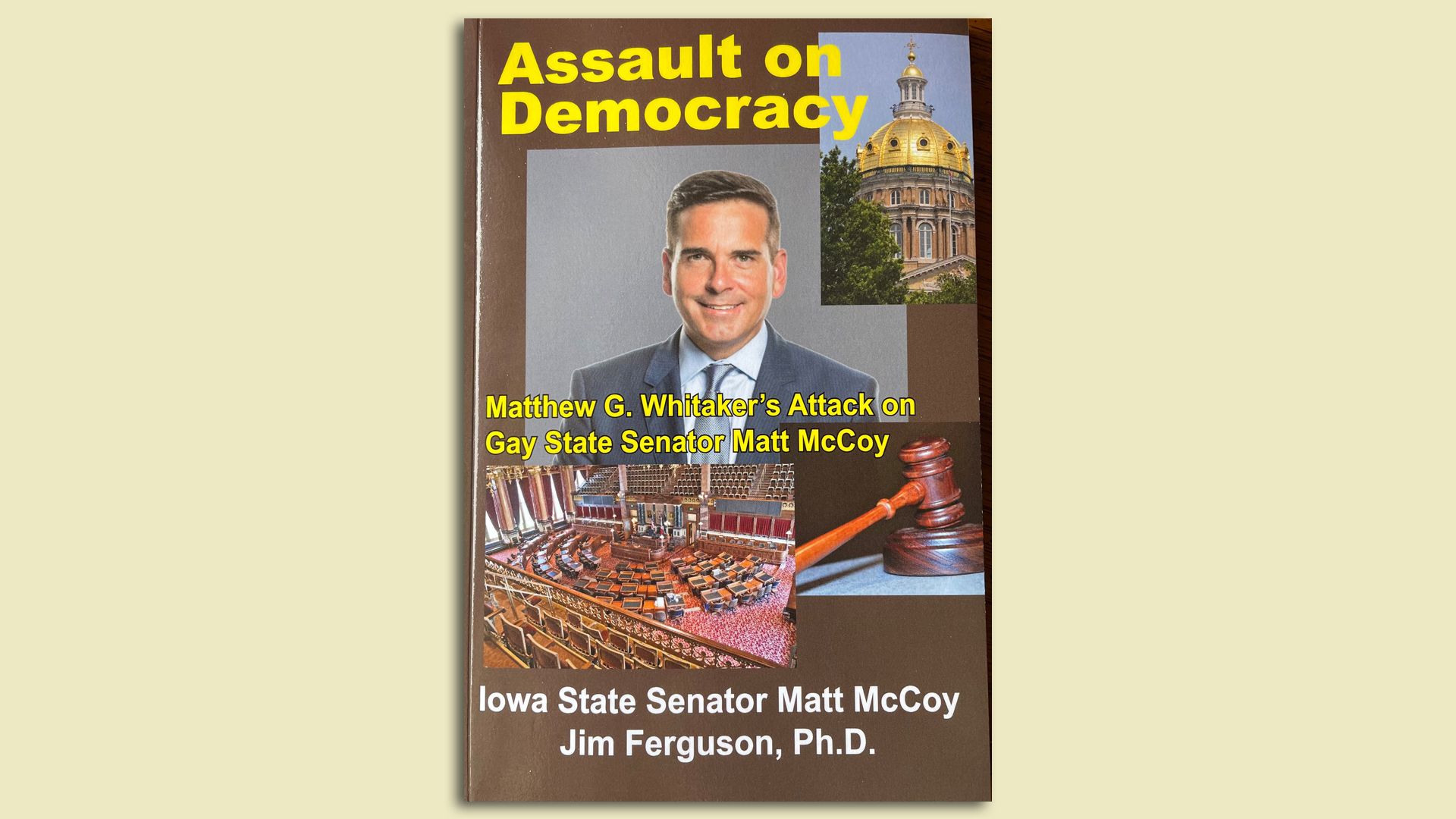 A photo of the cover of Matt McCoy's book