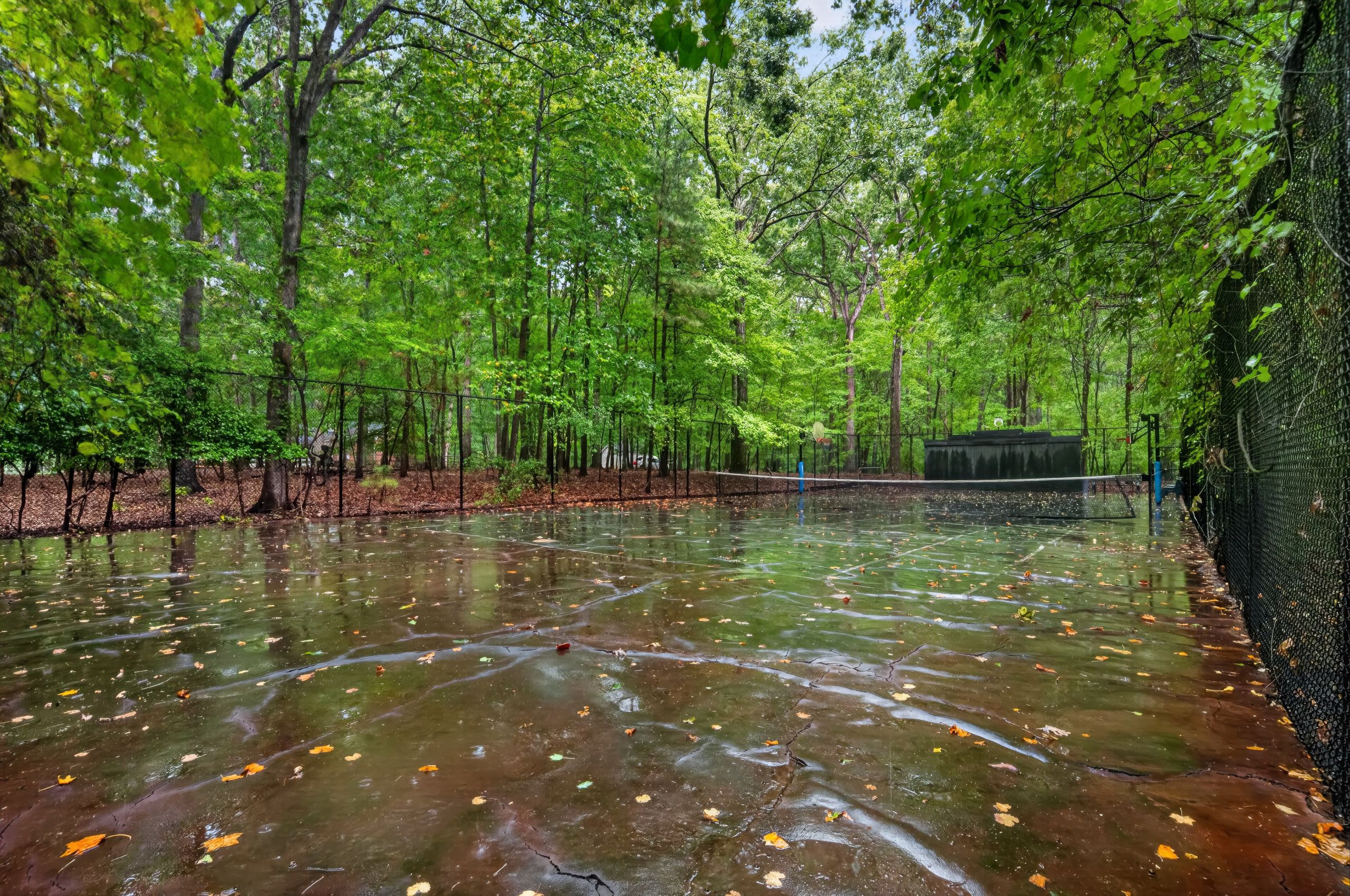 A flooded tennis court surrounded by a dense green forest. Water covers the court surface with scattered leaves. A chain-link fence runs along the right, with a dark shed in the background.