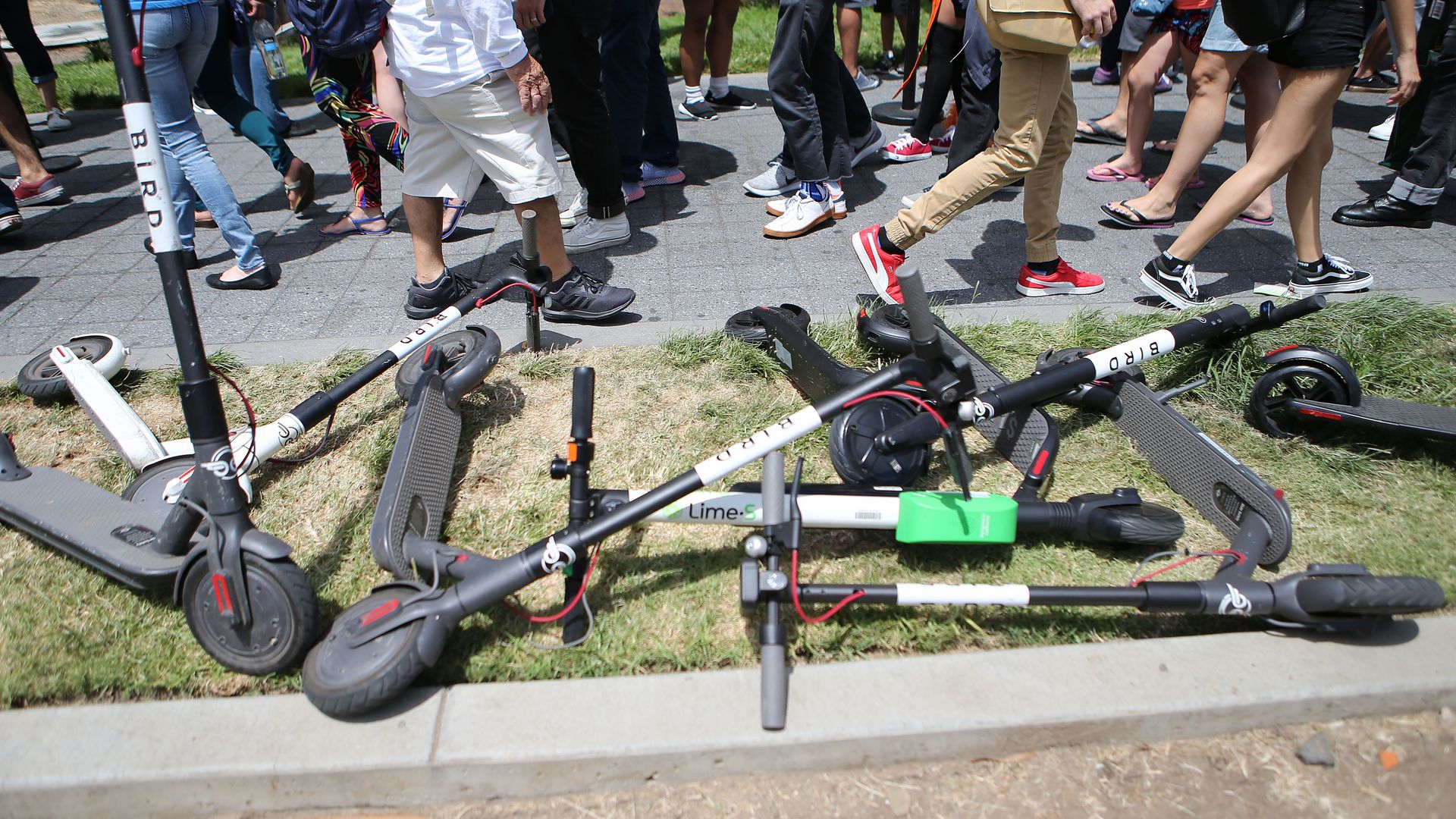 Lime and Bird scooters on the ground.