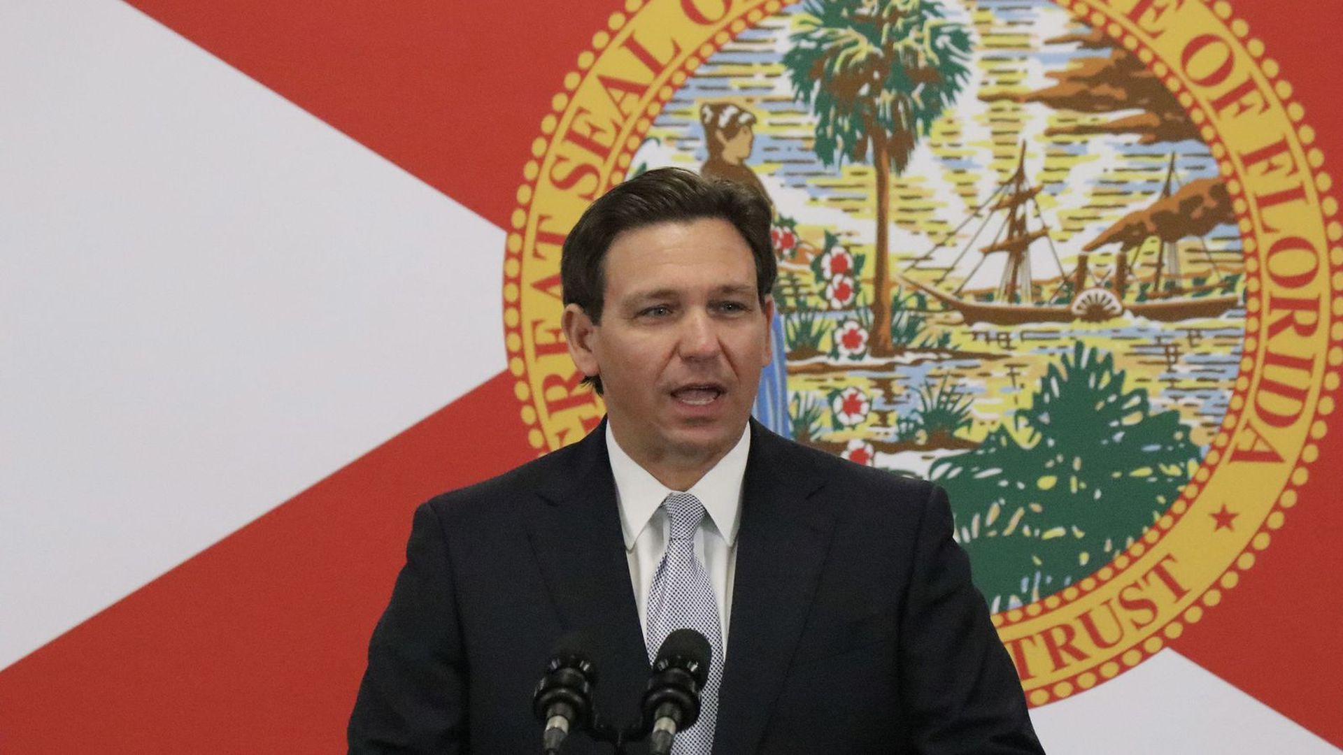 Florida Republican Governor Ron DeSantis stands in front of a large state flag while speaking into microphones during a news conference 