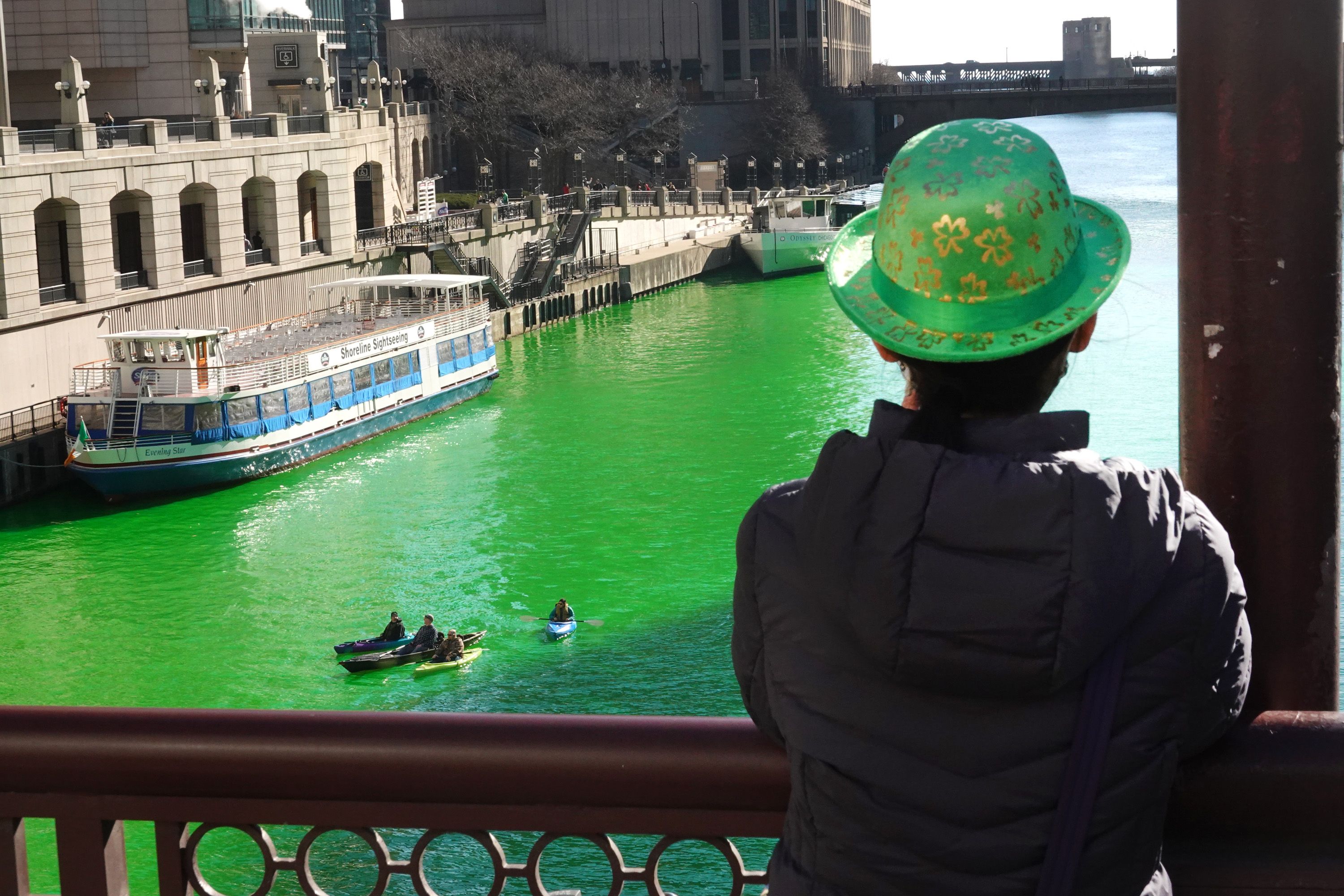 Photo of a man looking at a river being dyed green. 