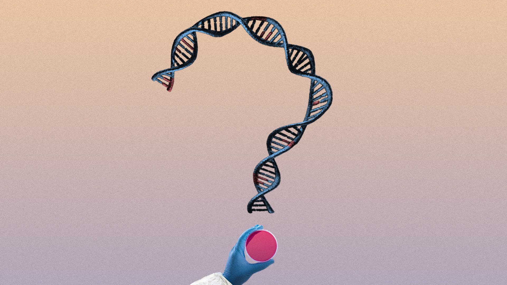 Illustration of a double stranded DNA formed into the shape of a question mark