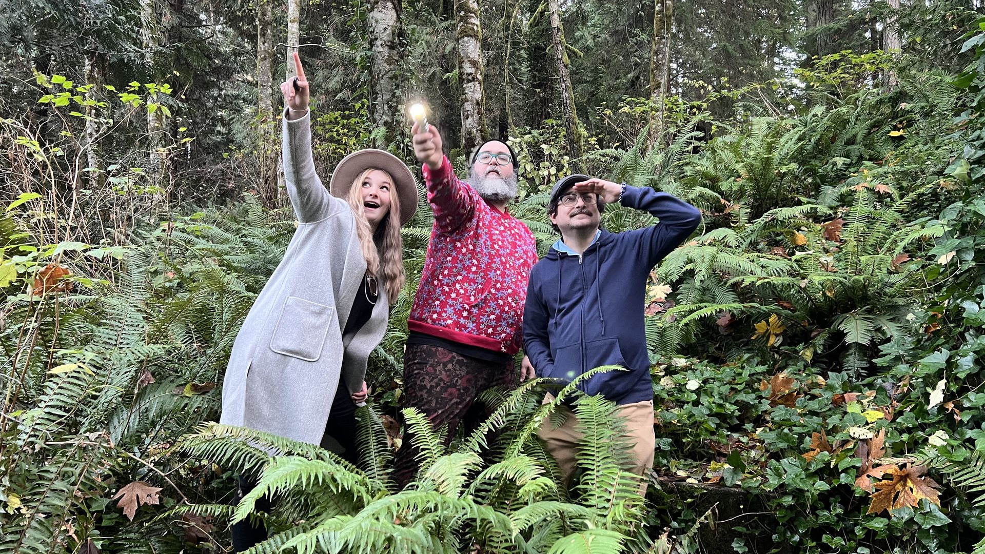 Three people in a forested area point at the sky.