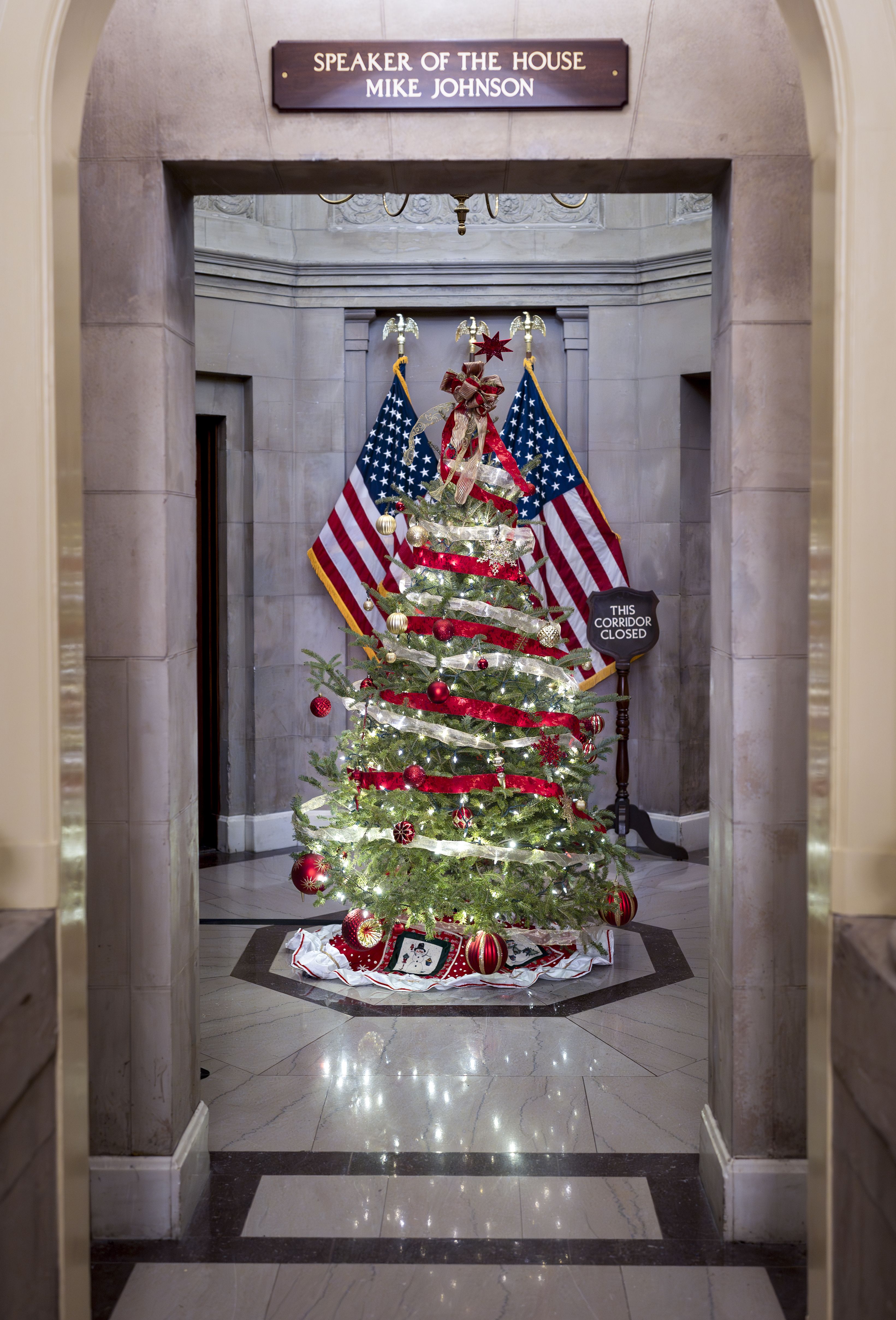 Christmas tree decorated with white and red ribbons and lights