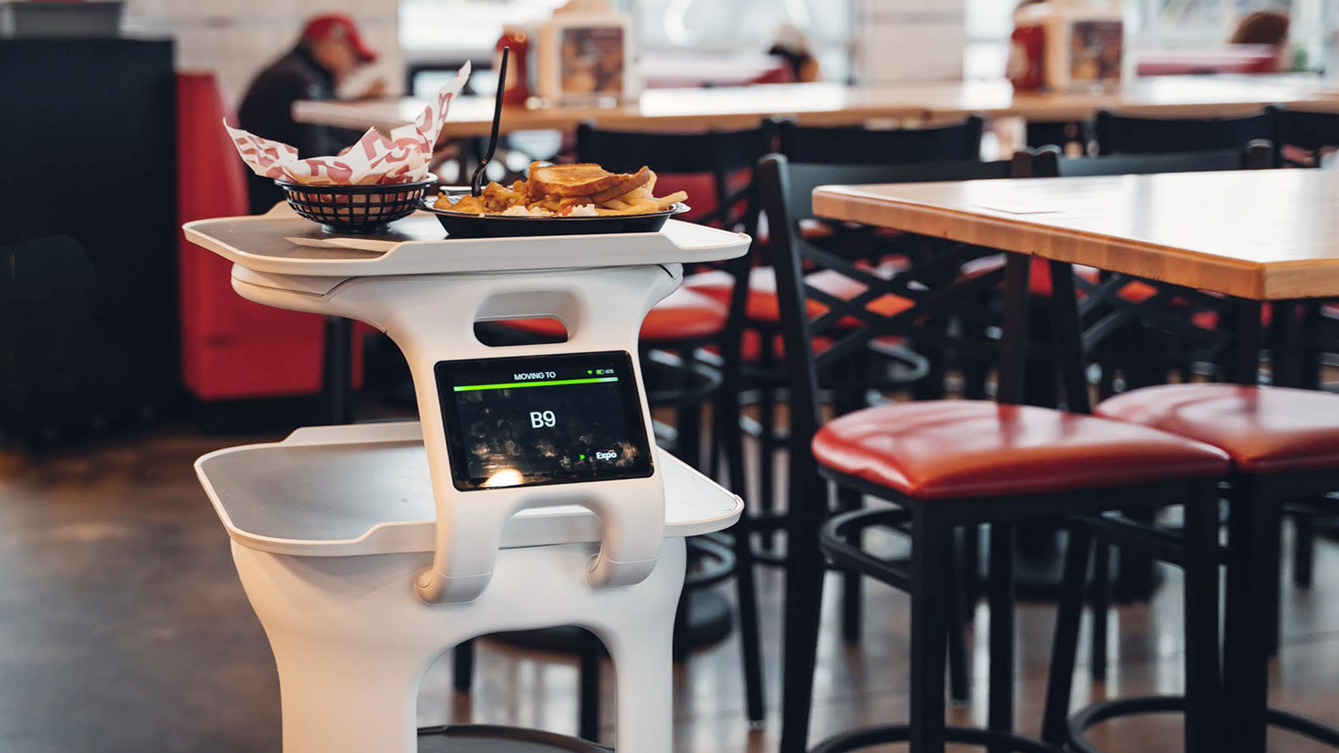 Servi the robot