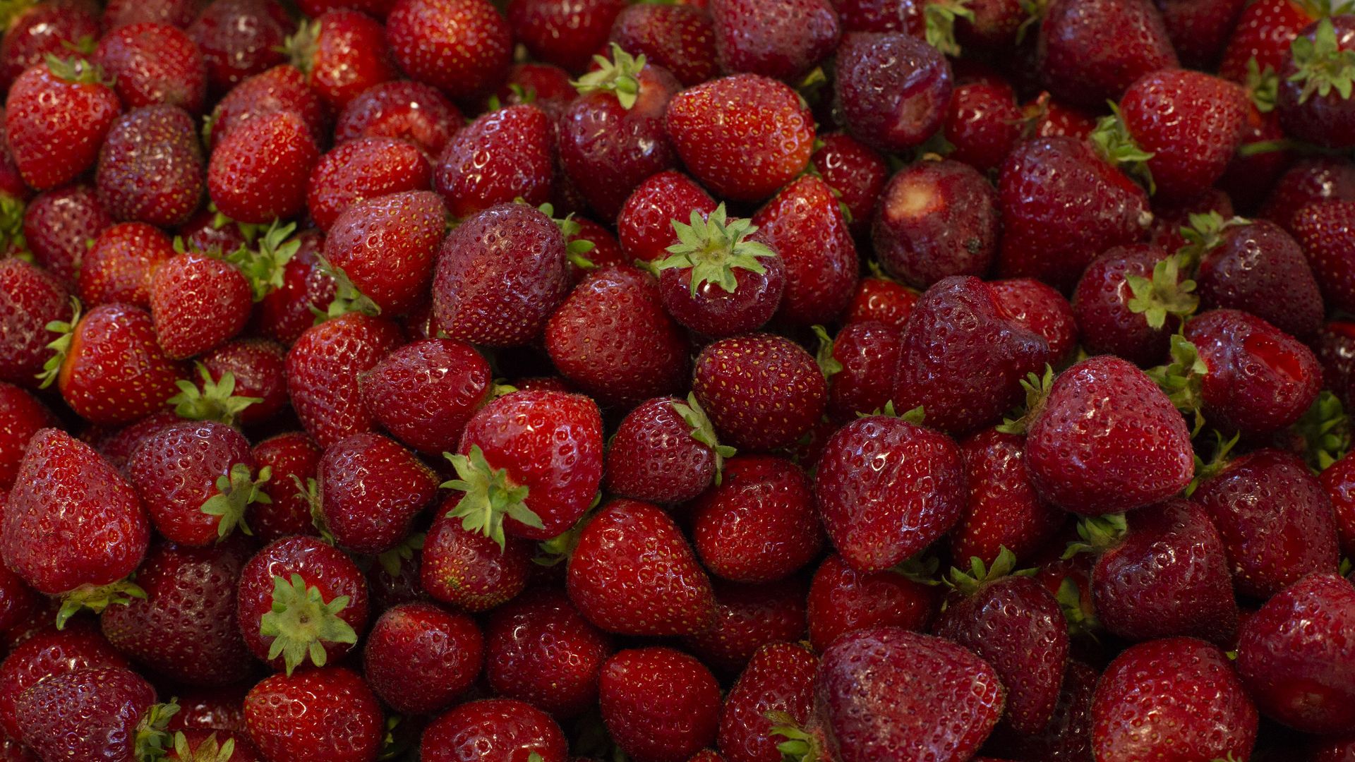 A flat of sweet red Washington state strawberries. 