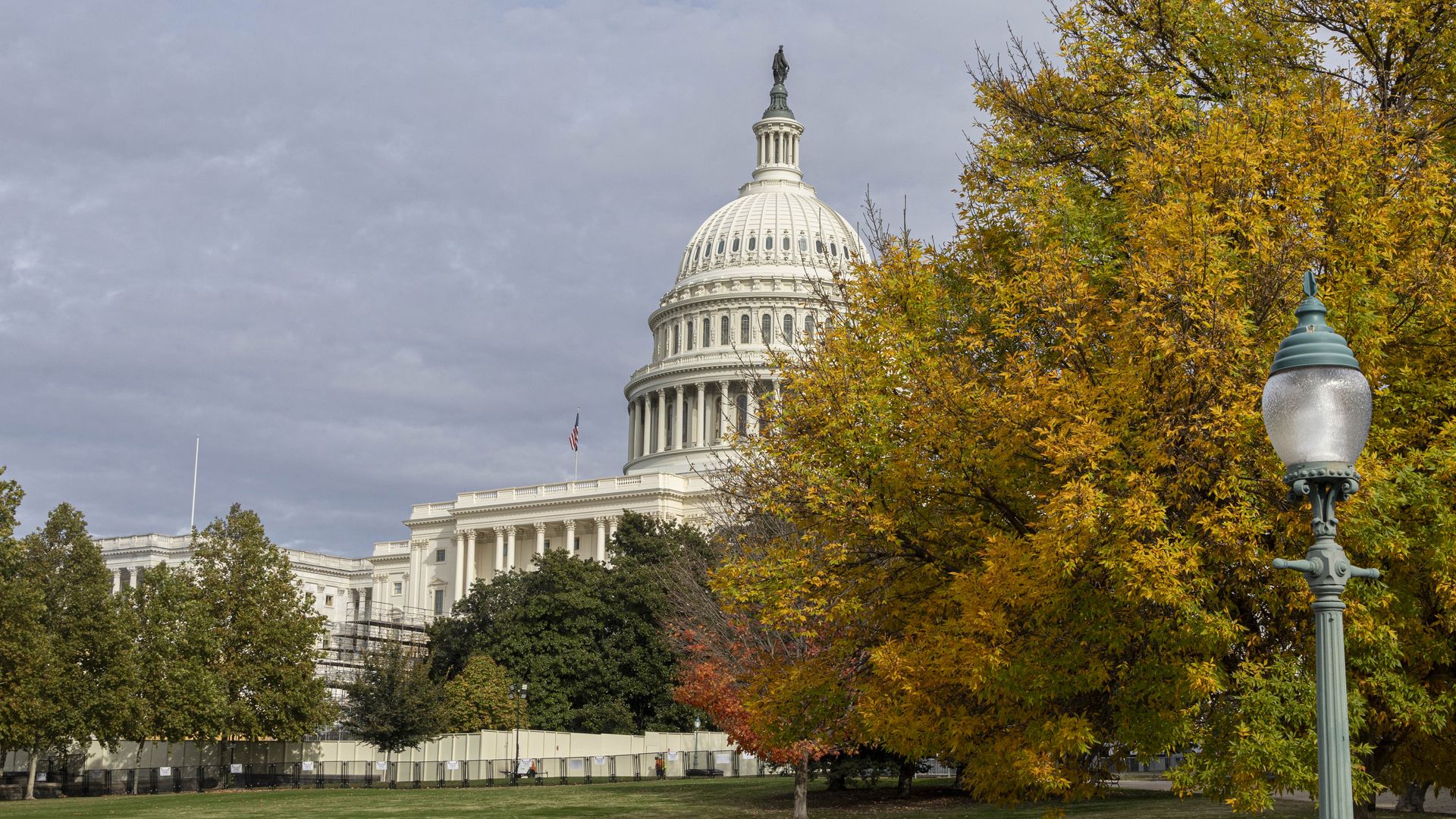 U.S. Capitol, behind a foreground of yellowed trees.