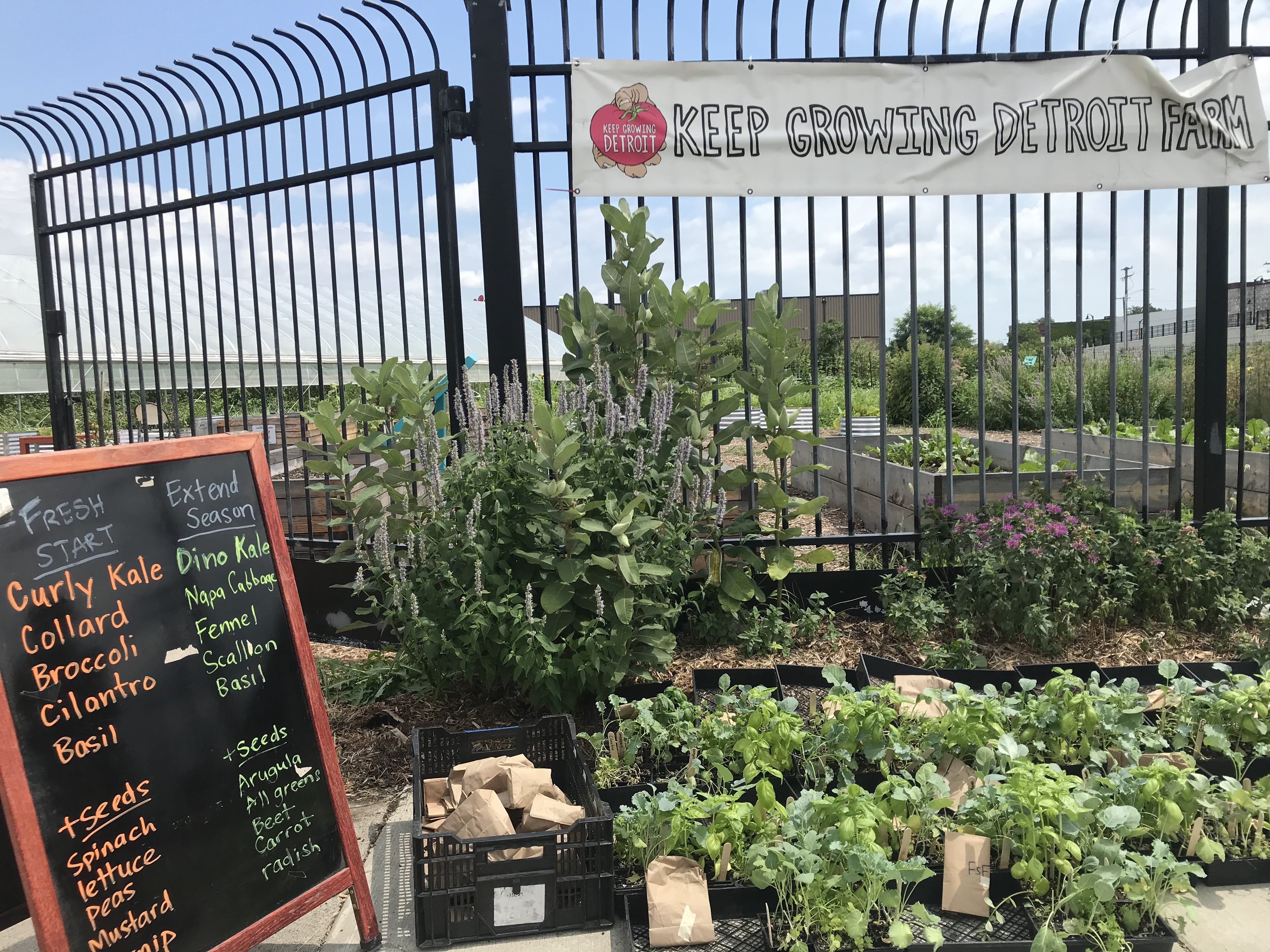 a bunch of plants is shown next to a list that shows which plants and seeds are available.