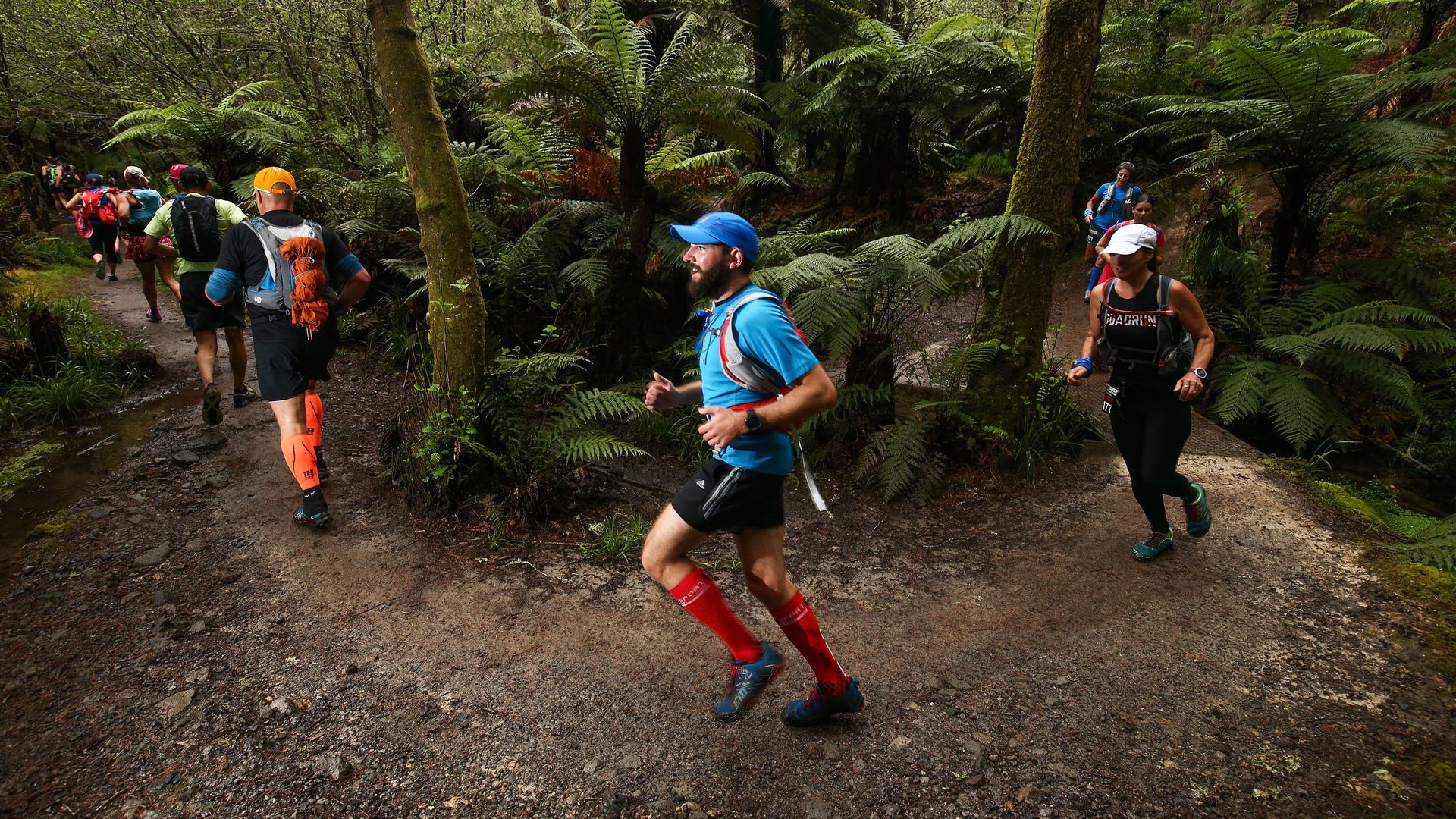 Trail runners in a forest.