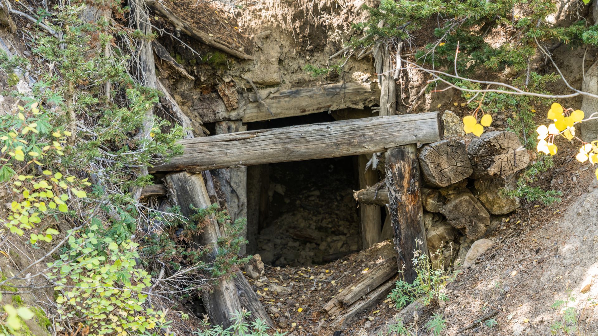 Entrance to abandoned gold mine