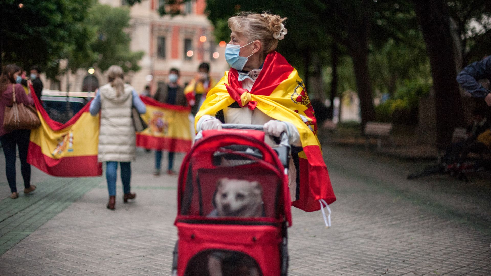 A woman wearing a facemask and wrapped with a flag is seen walking the streets with her pet dog in a stroller during a protest in Pamplona