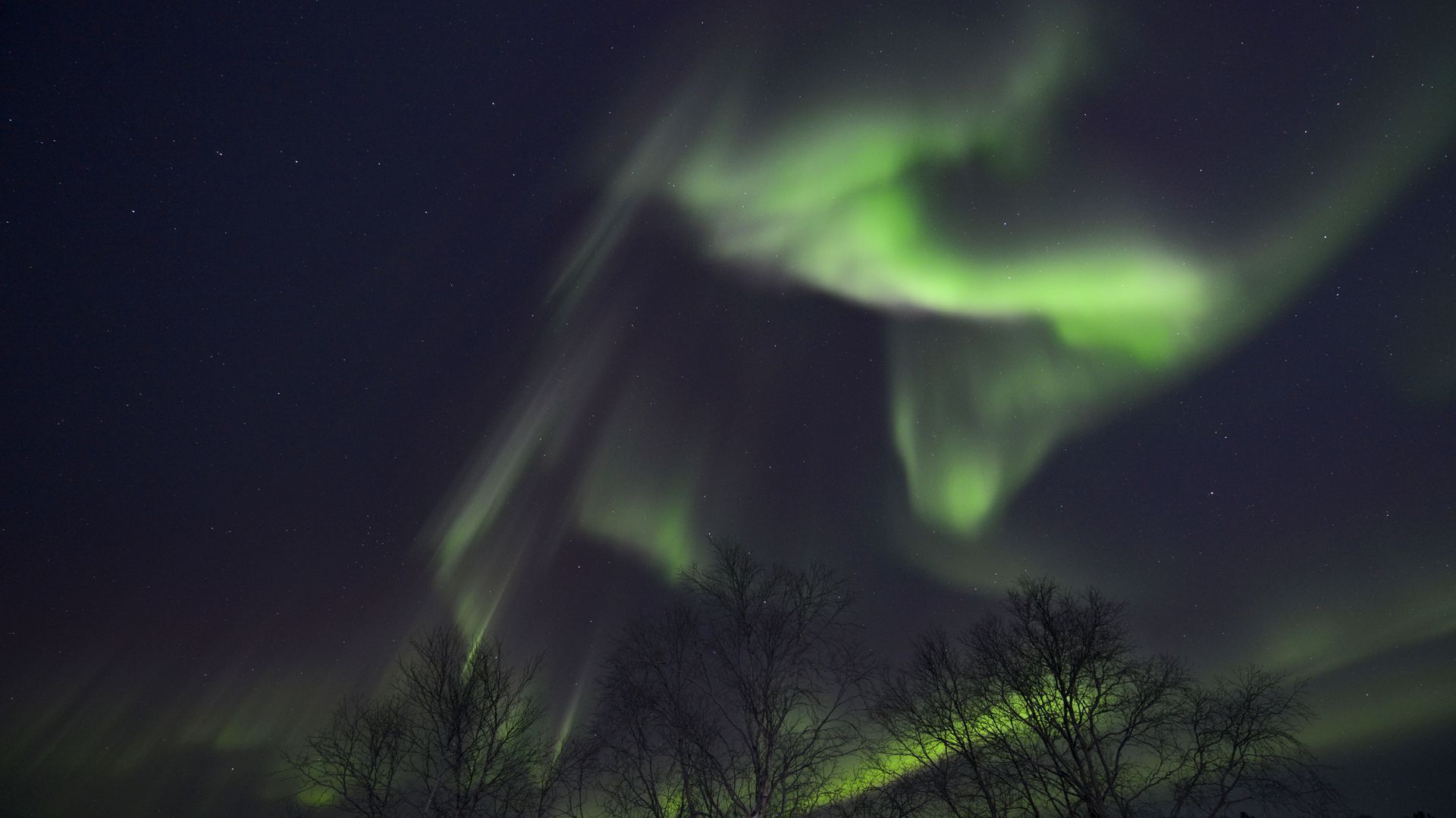 The aurora borealis — which results from disturbances in the Earth's magnosphere caused by solar winds — seen above Murmansk, Russia, last month.