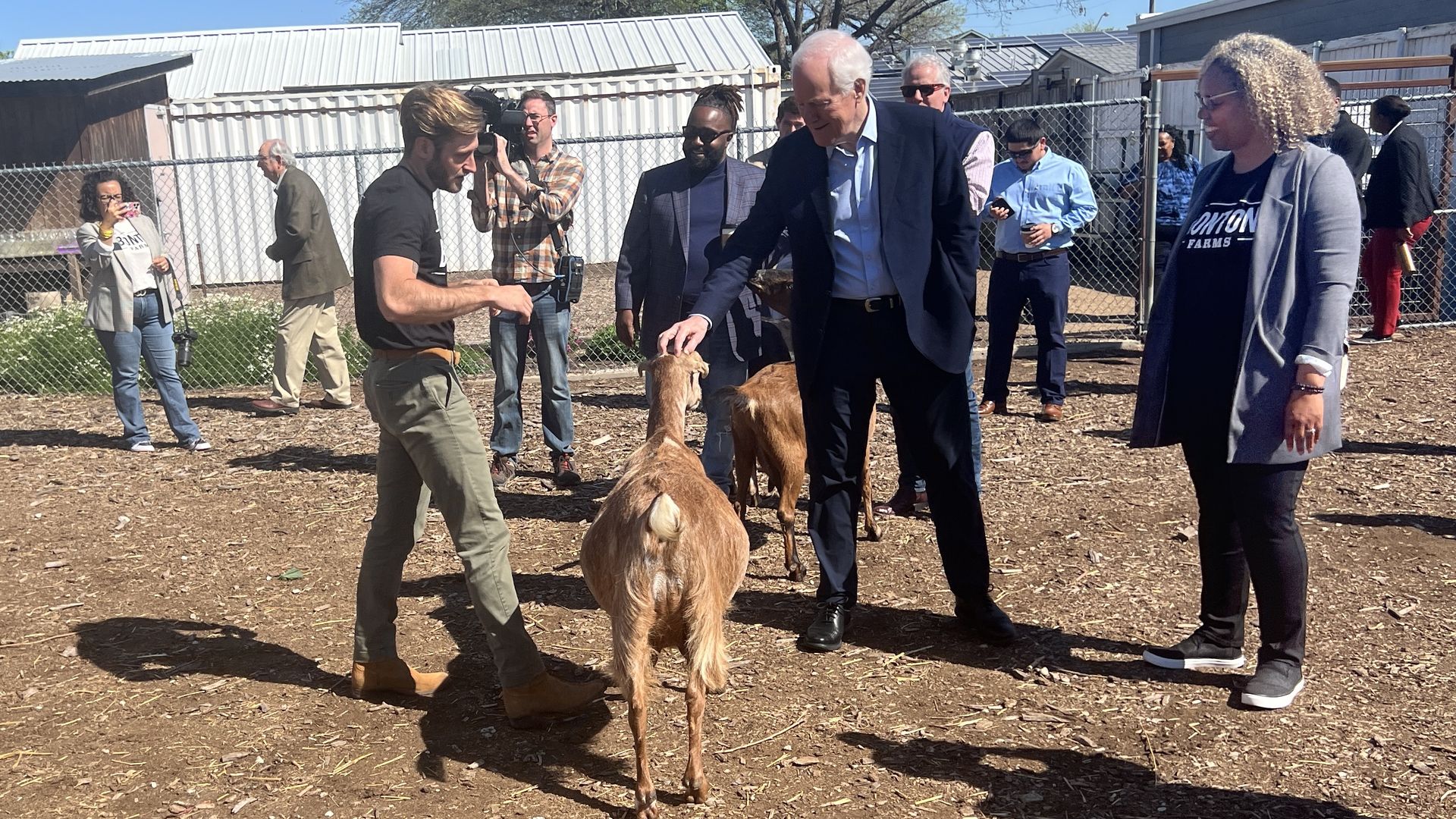 A man in a suit petting a goat