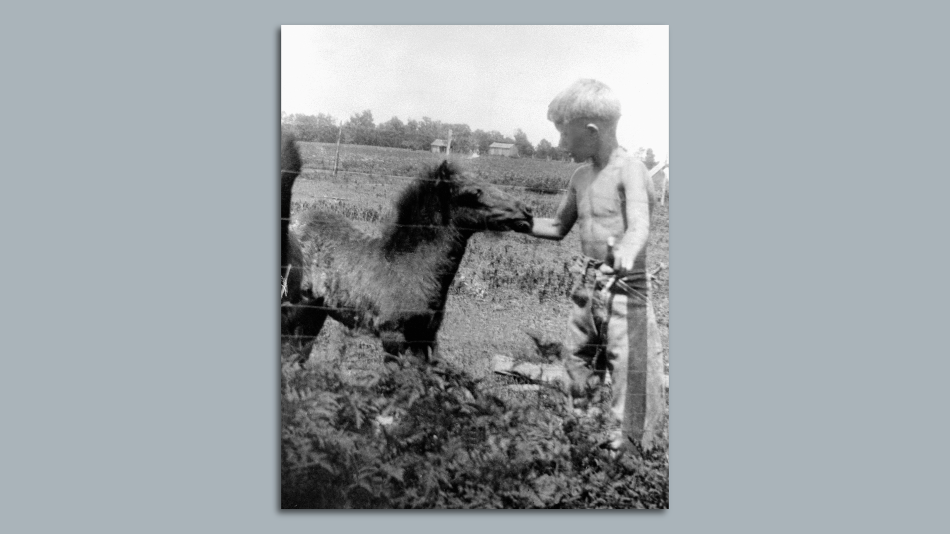 Jimmy Carter as a boy petting a colt in a field in Georgia in the 1920s.
