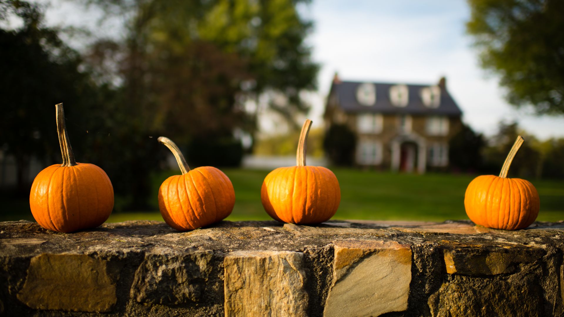 Pumpkins sit on a wall behind a house