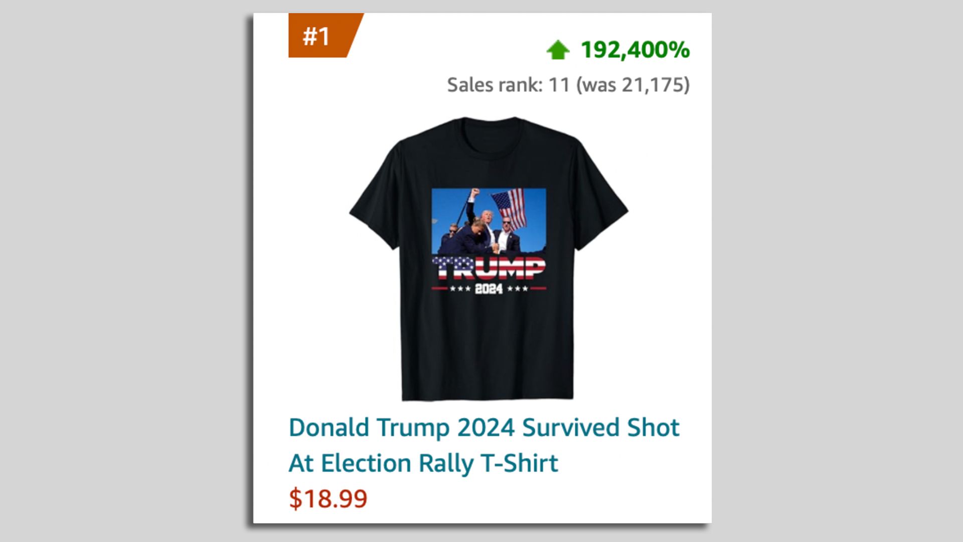 Screenshot of the sales page of a top selling homemade Trump t-shirt from Amazon.com