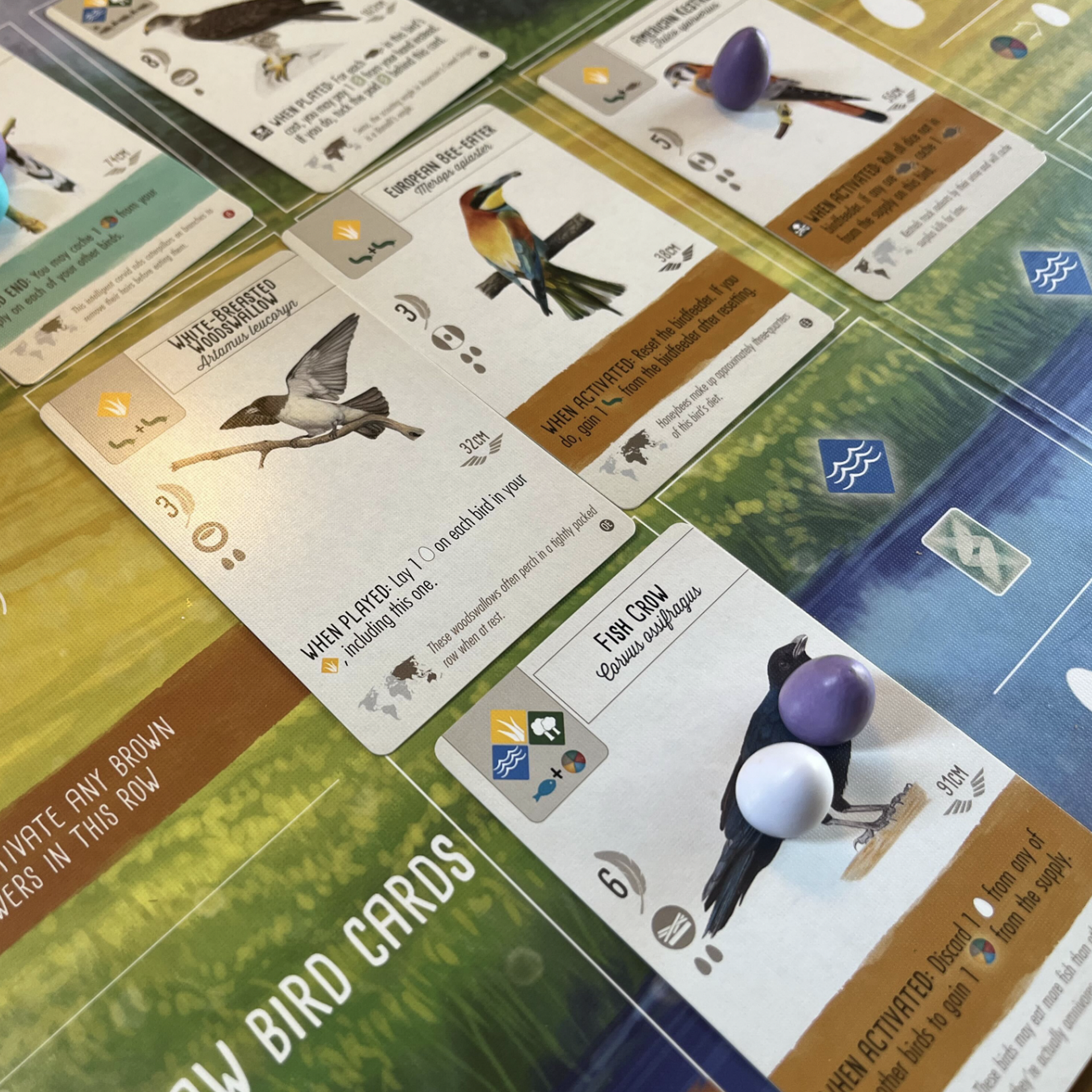 Best board games: Wingspan, designed by a D.C.-area local, is