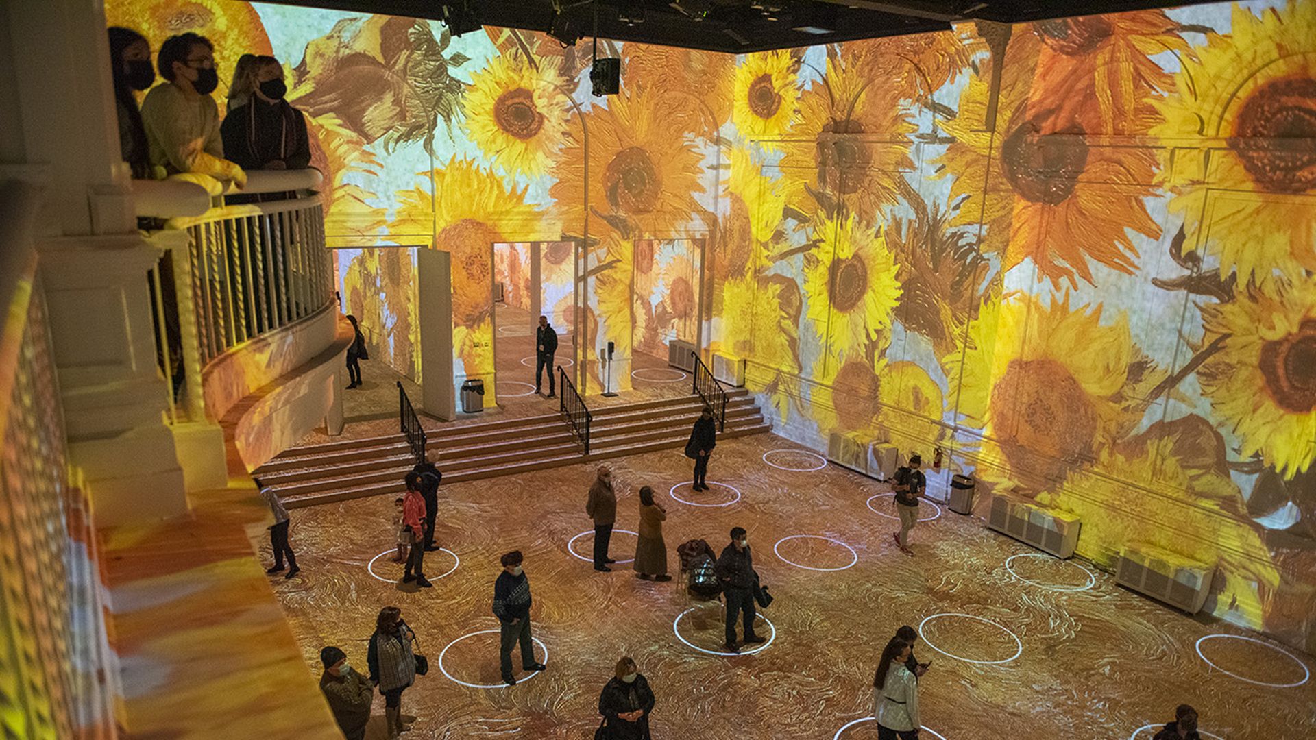 van gogh exhibit