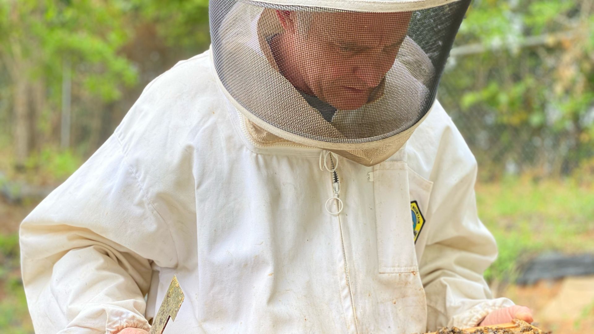 Randall york cloister honey