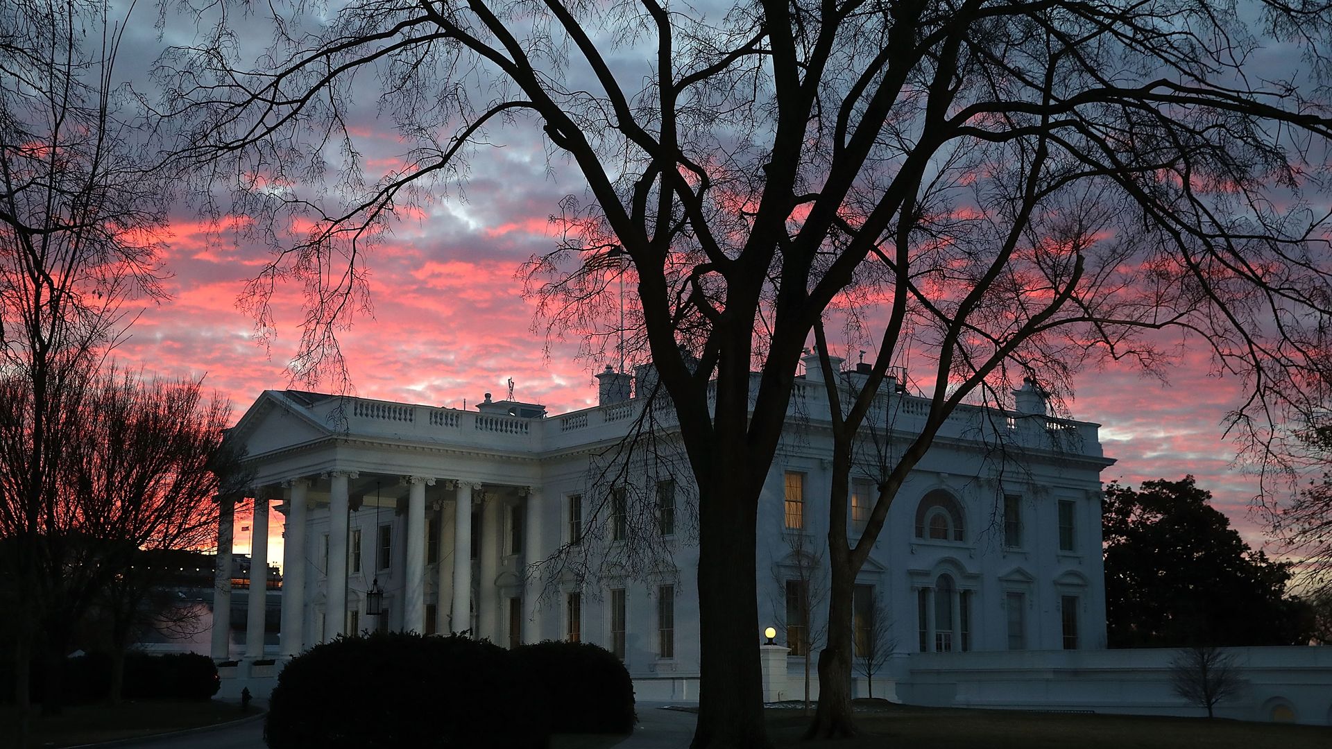 The White House