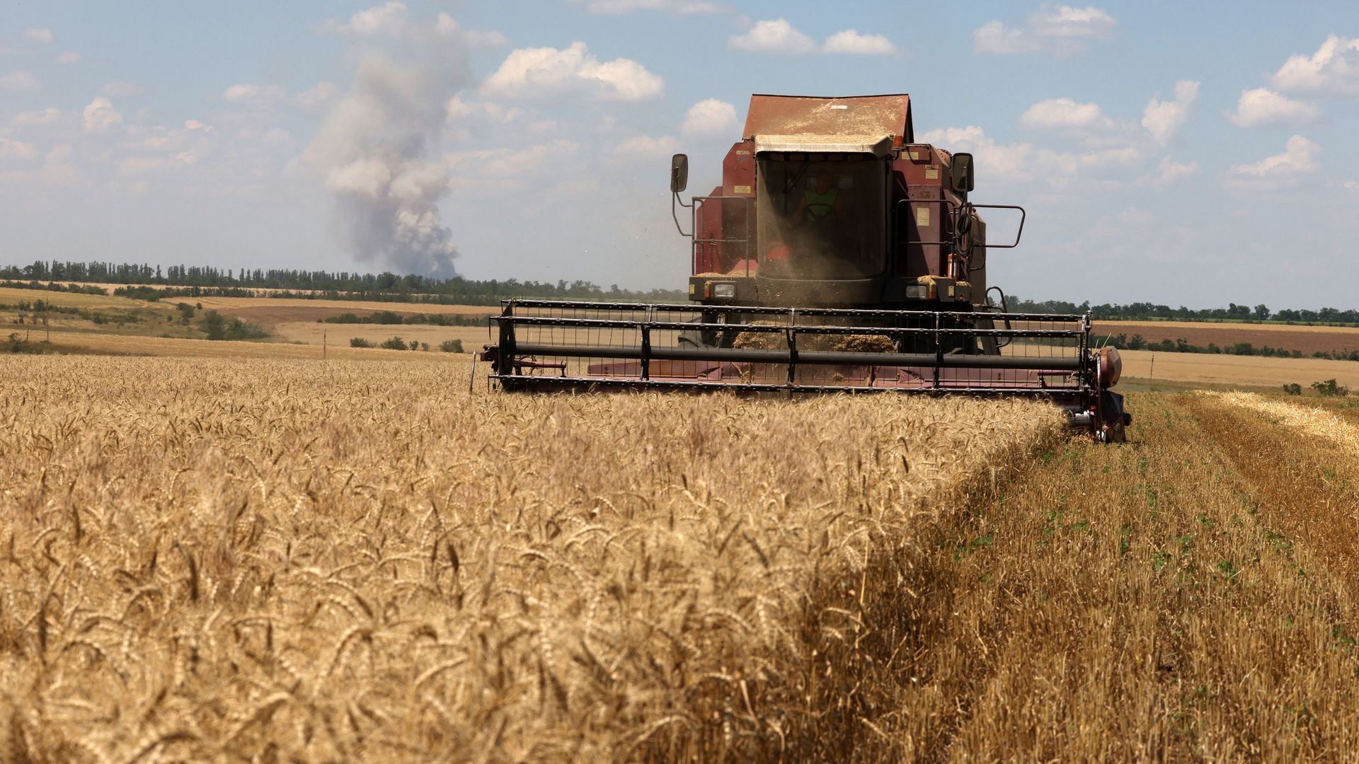 A combine harvests wheat on a field near Novosofiivka village in Ukraine's Mykolaiv region on July 4.