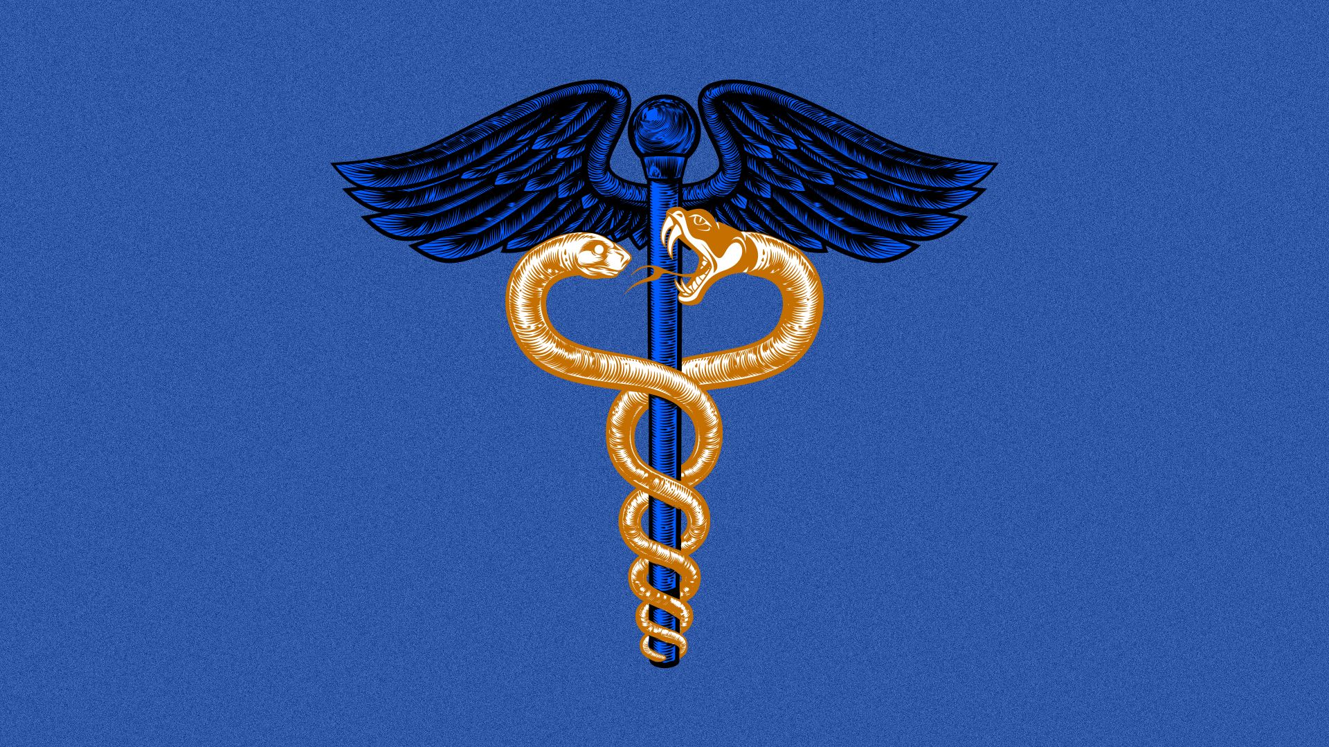 Illustration of Caduceus with two snakes fighting.