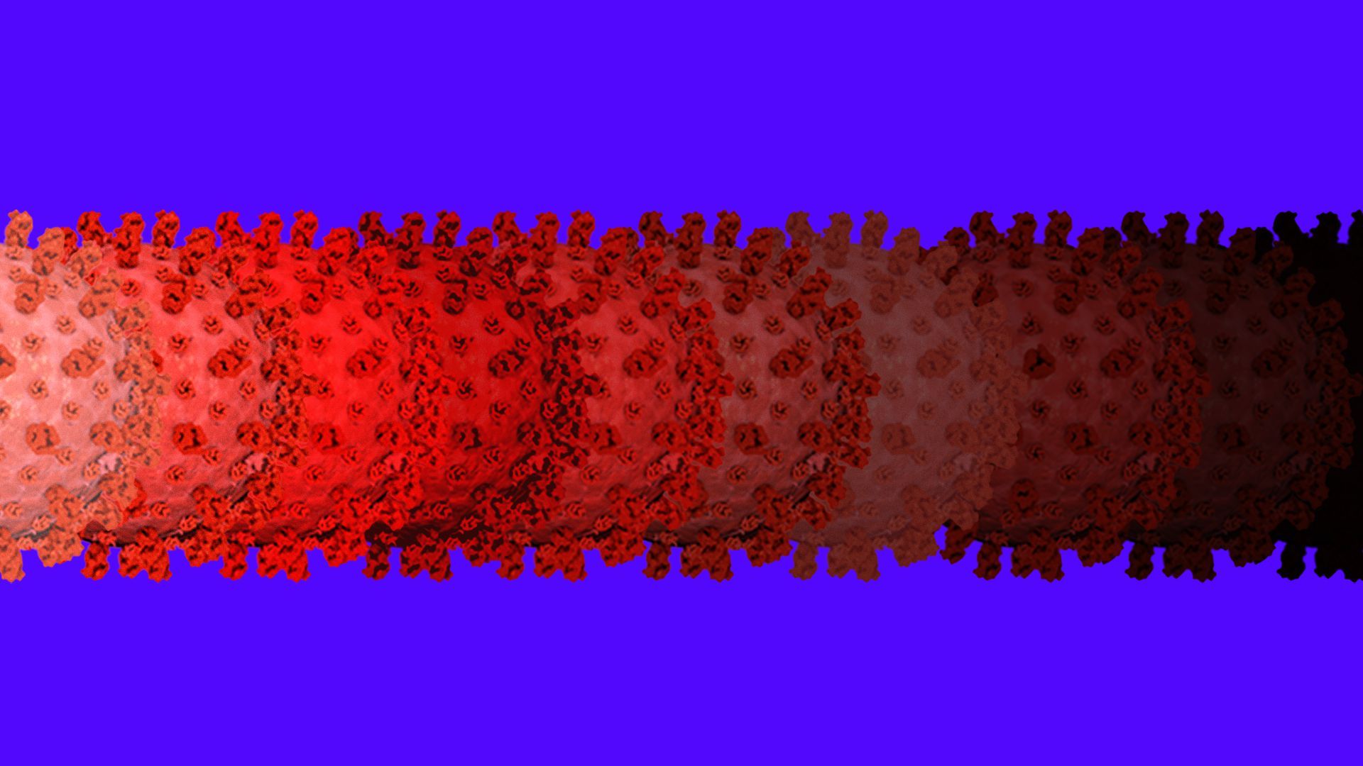 Illustration of a series of COVID shapes lined up to make a gradient of colors