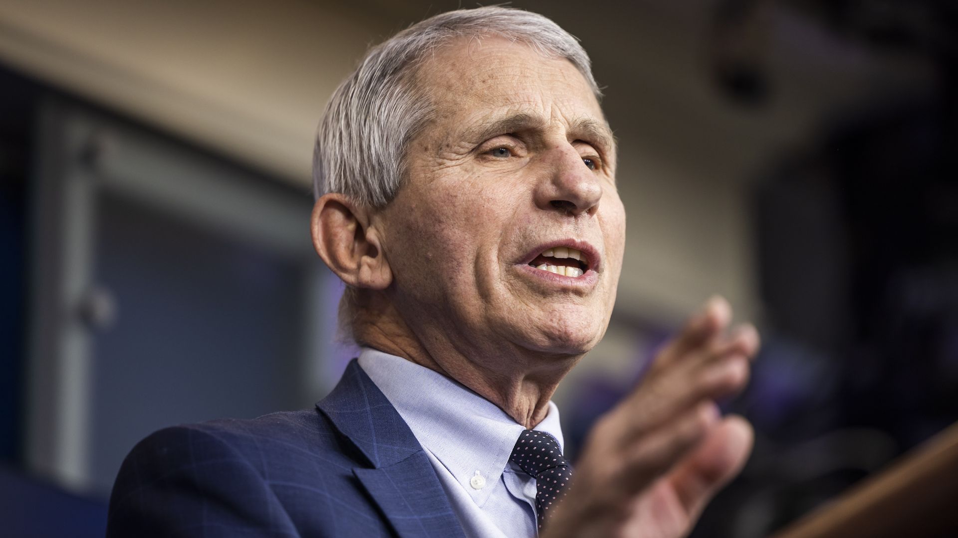 Picture of Anthony Fauci