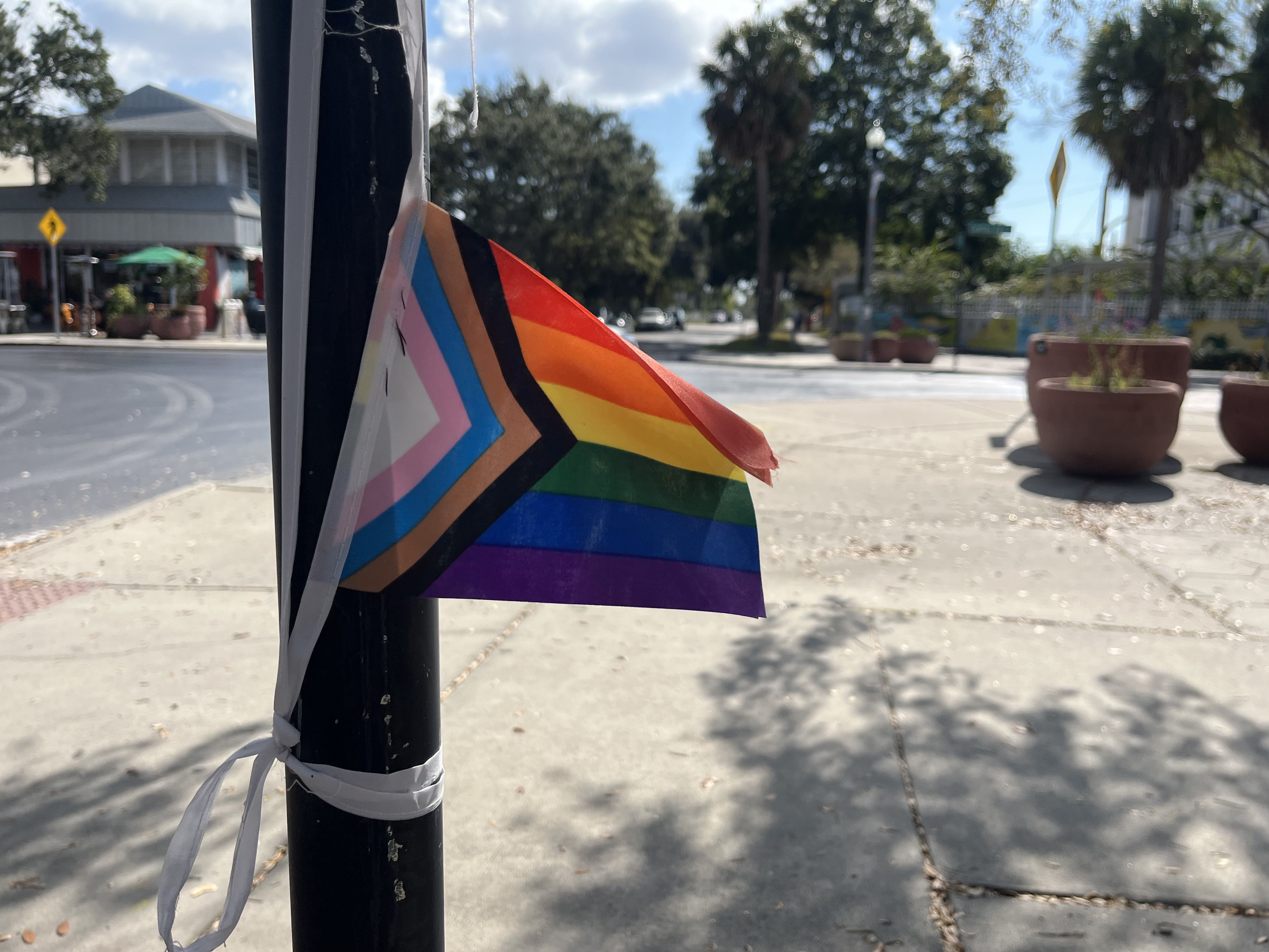 Small Progress Pride flag with rainbow, black, brown, pink, and blue stripes taped to a black street pole on a sunny sidewalk with plants and trees in the background.