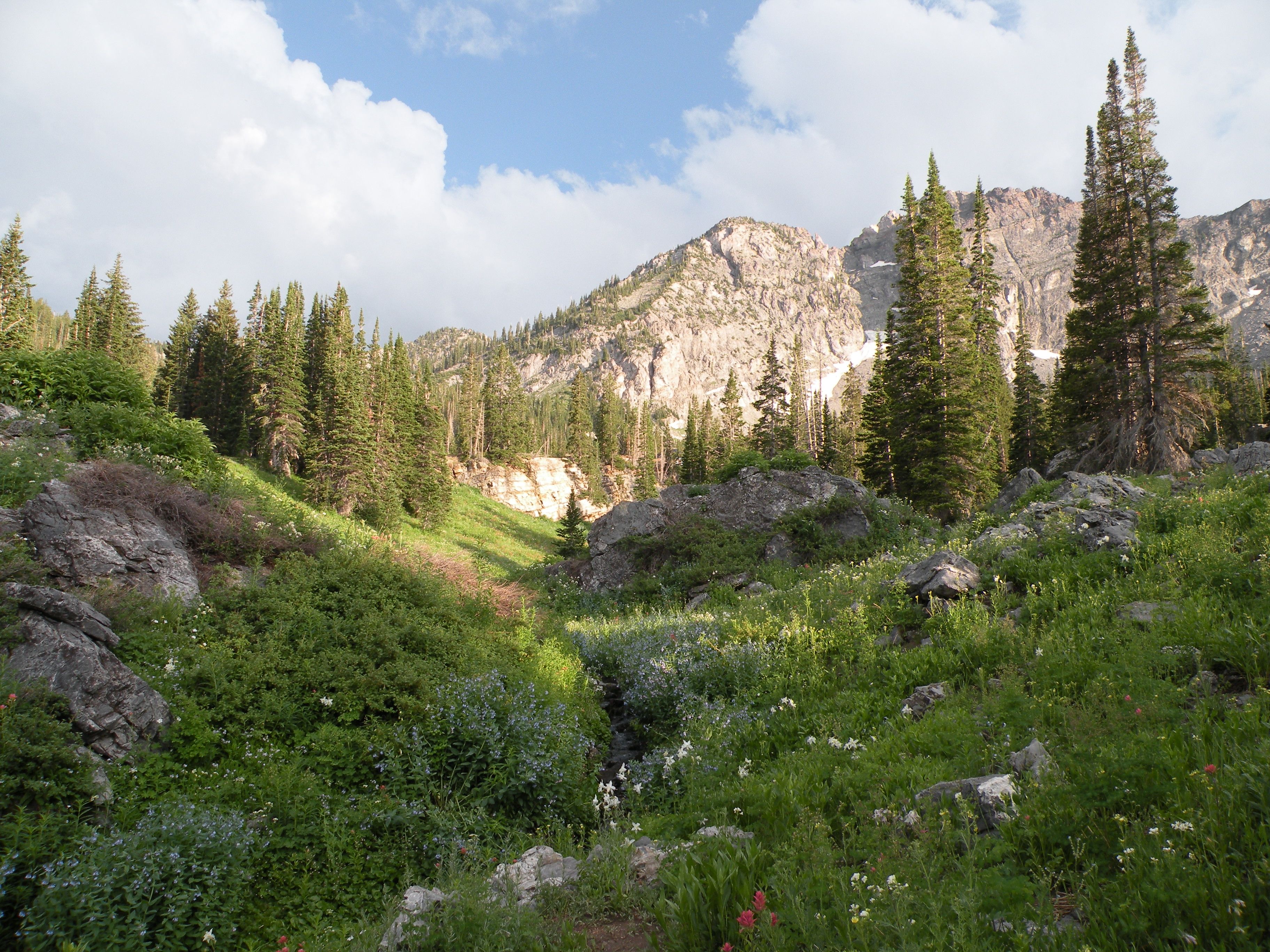A mountain towering over a green valley.
