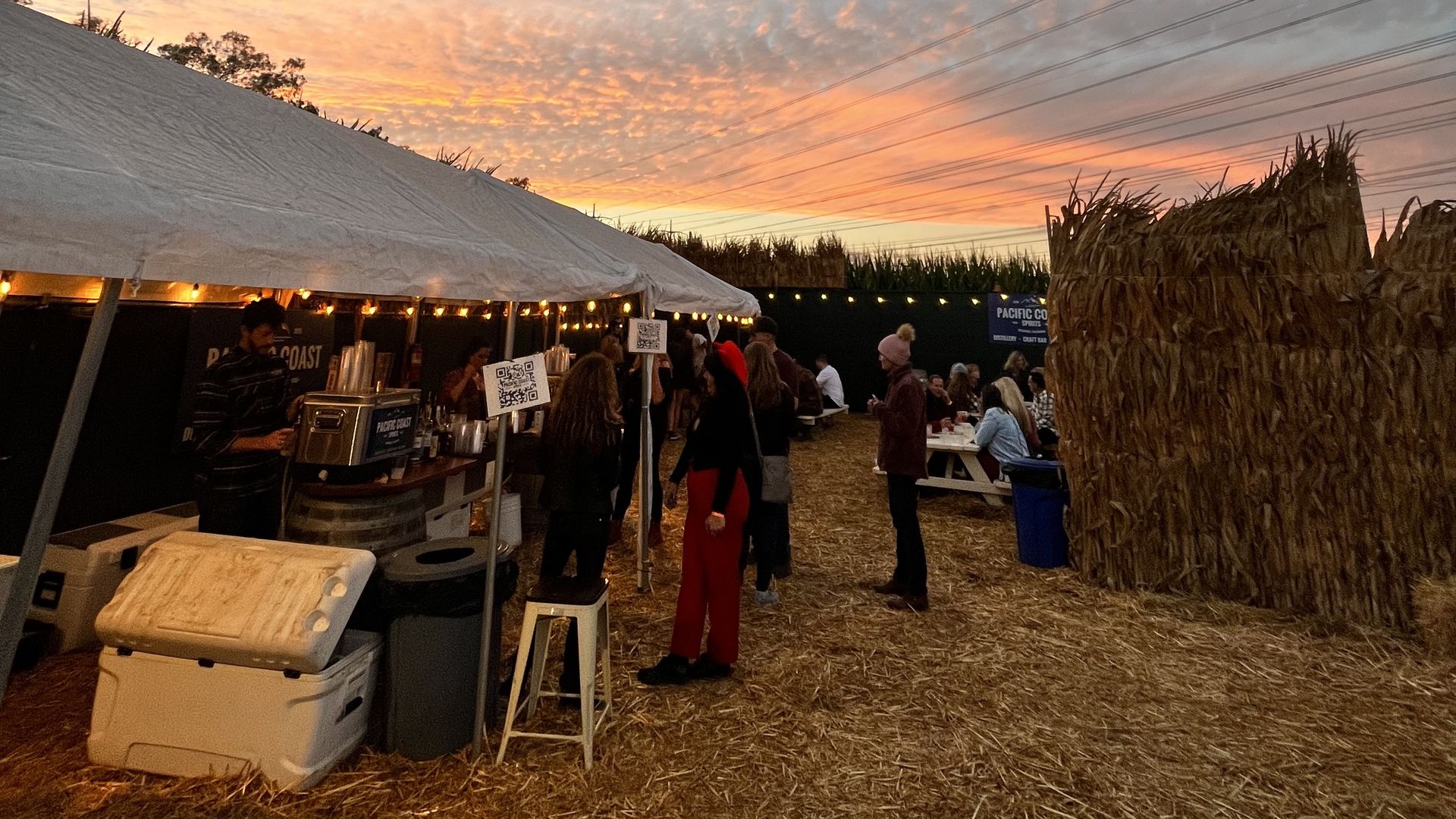 People stand in line at a tent inside a cornmaze selling alcohol.