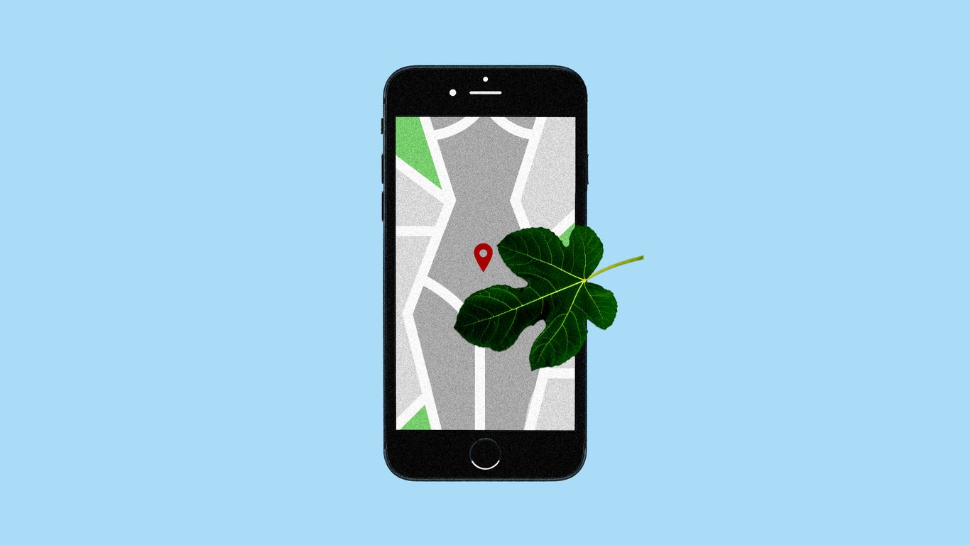The iPhone lowered the birth rate, new paper finds