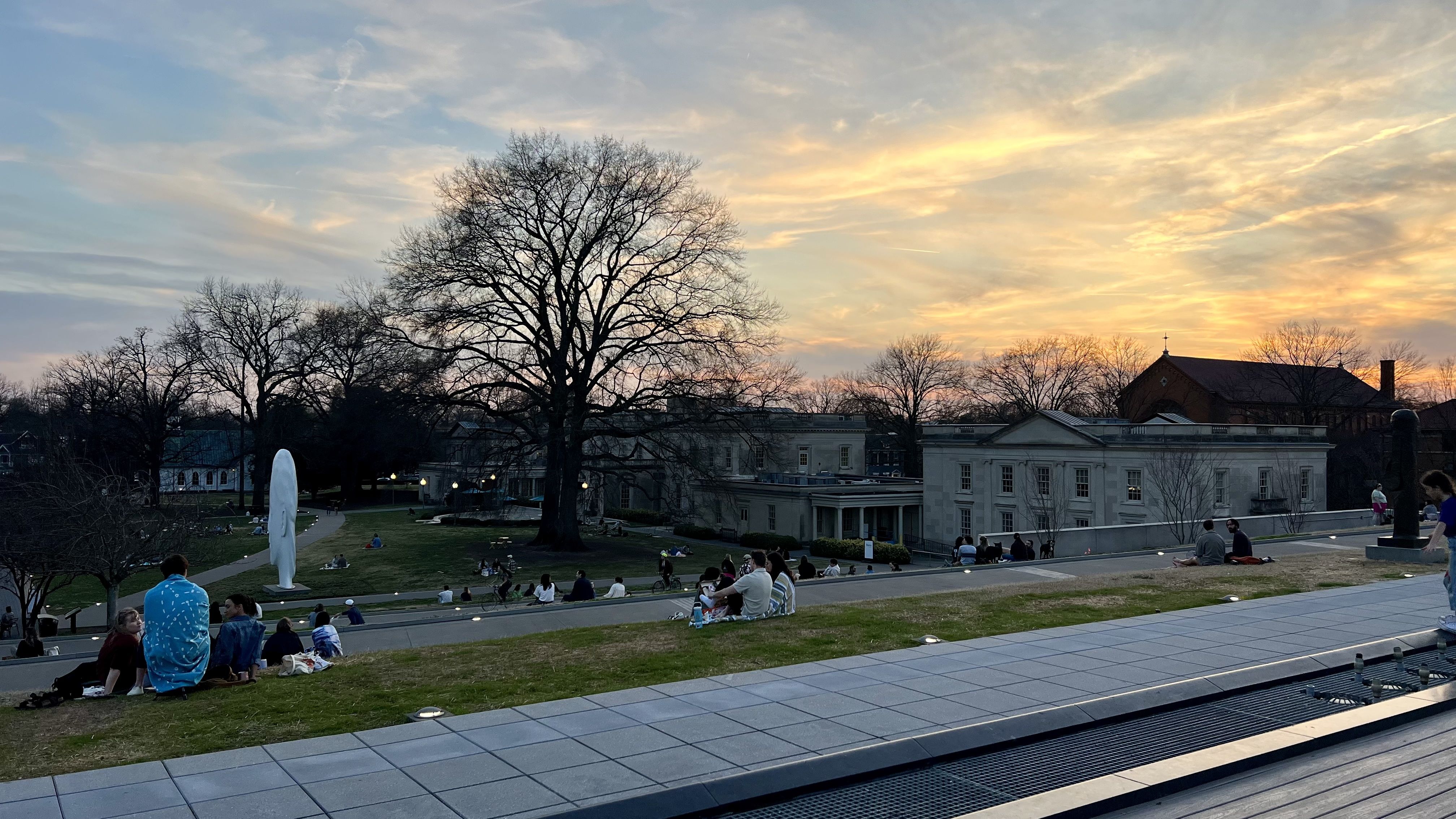 People sitting and relaxing on grassy hillside in a park at sunset with a large leafless tree, gray buildings, and a tall white sculpture visible under a colorful sky.