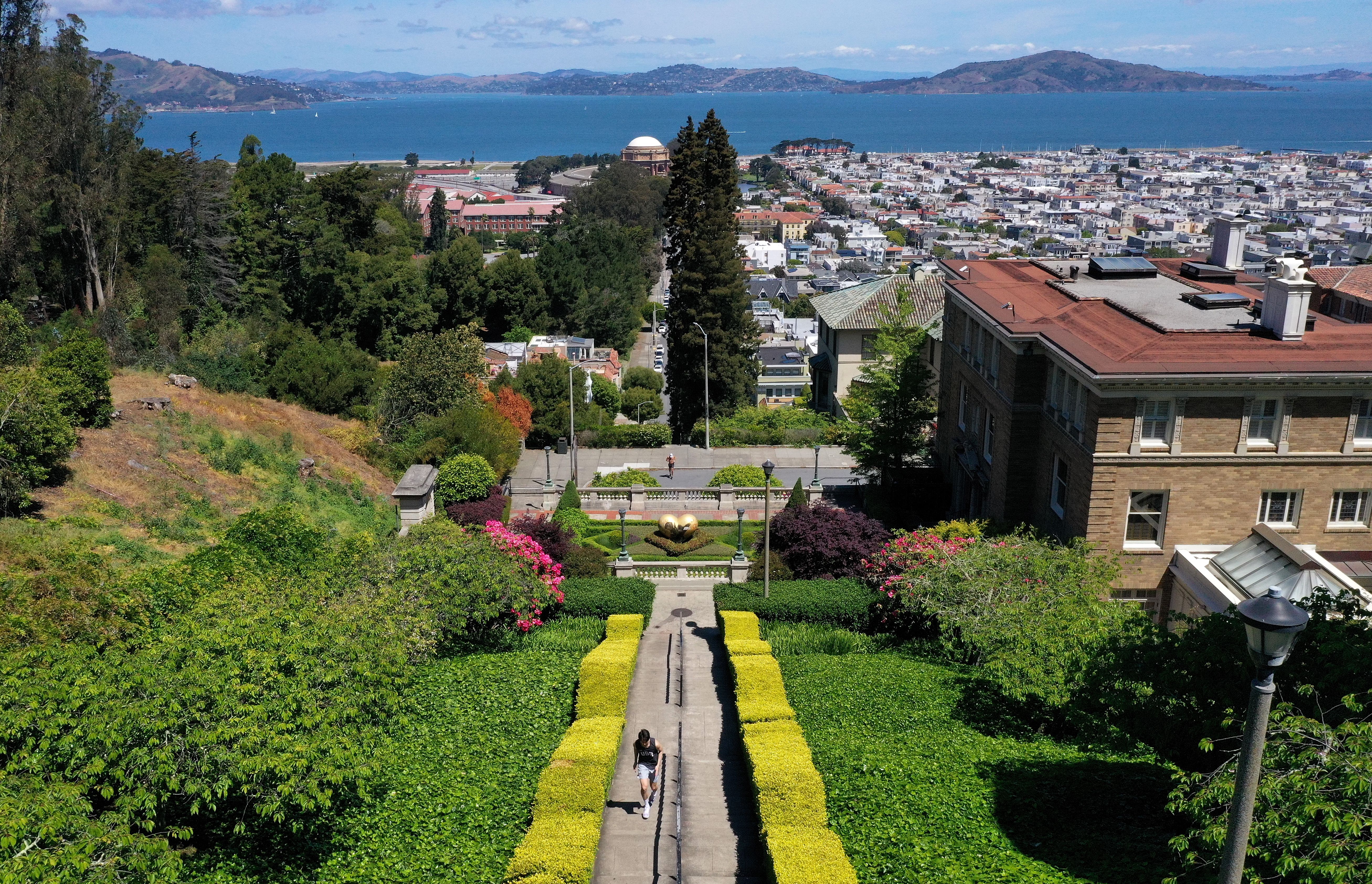 View from a hilltop showing a person walking down a path bordered by green and yellow hedges, colorful flowers, trees, a cityscape, and a body of water with distant hills under a blue sky.