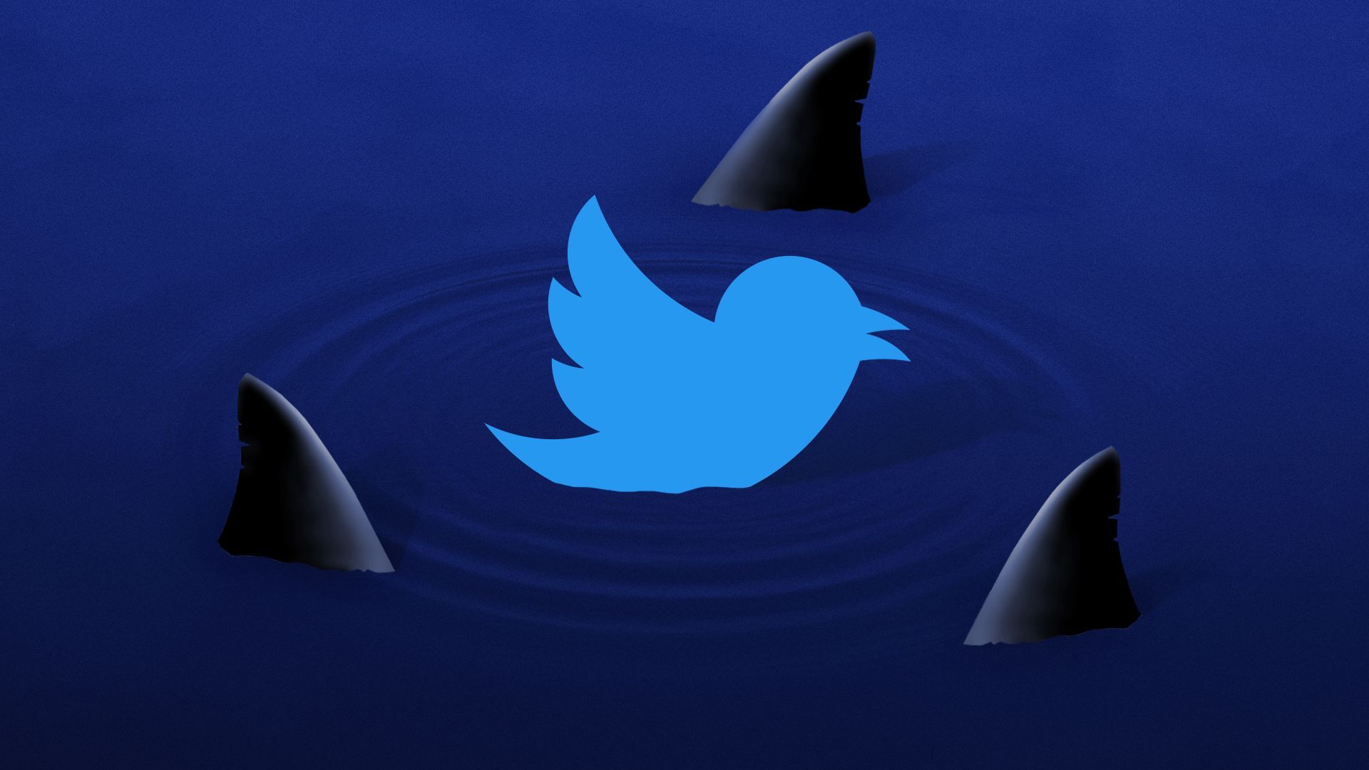 Illustration of the Twitter bird surrounded by shark fins.
