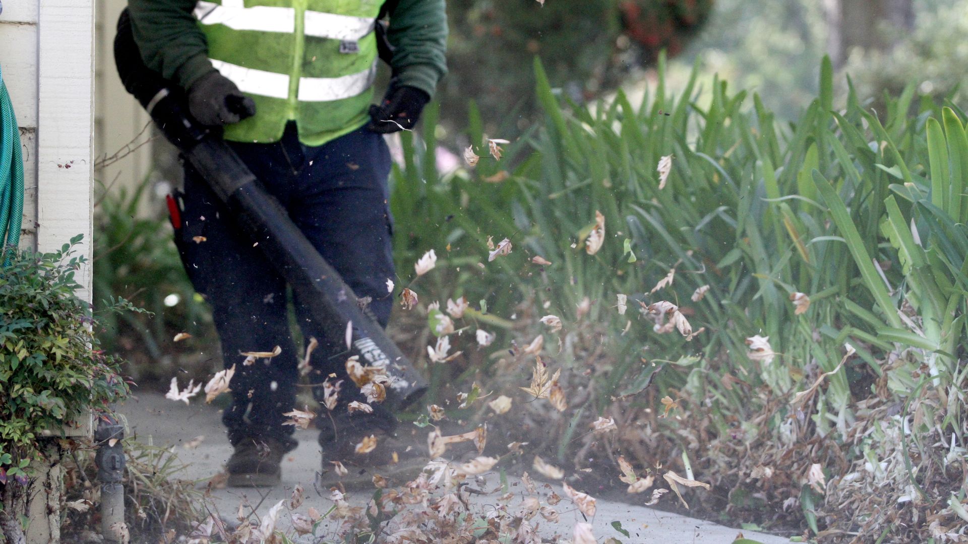 A gas-powered leaf blower.