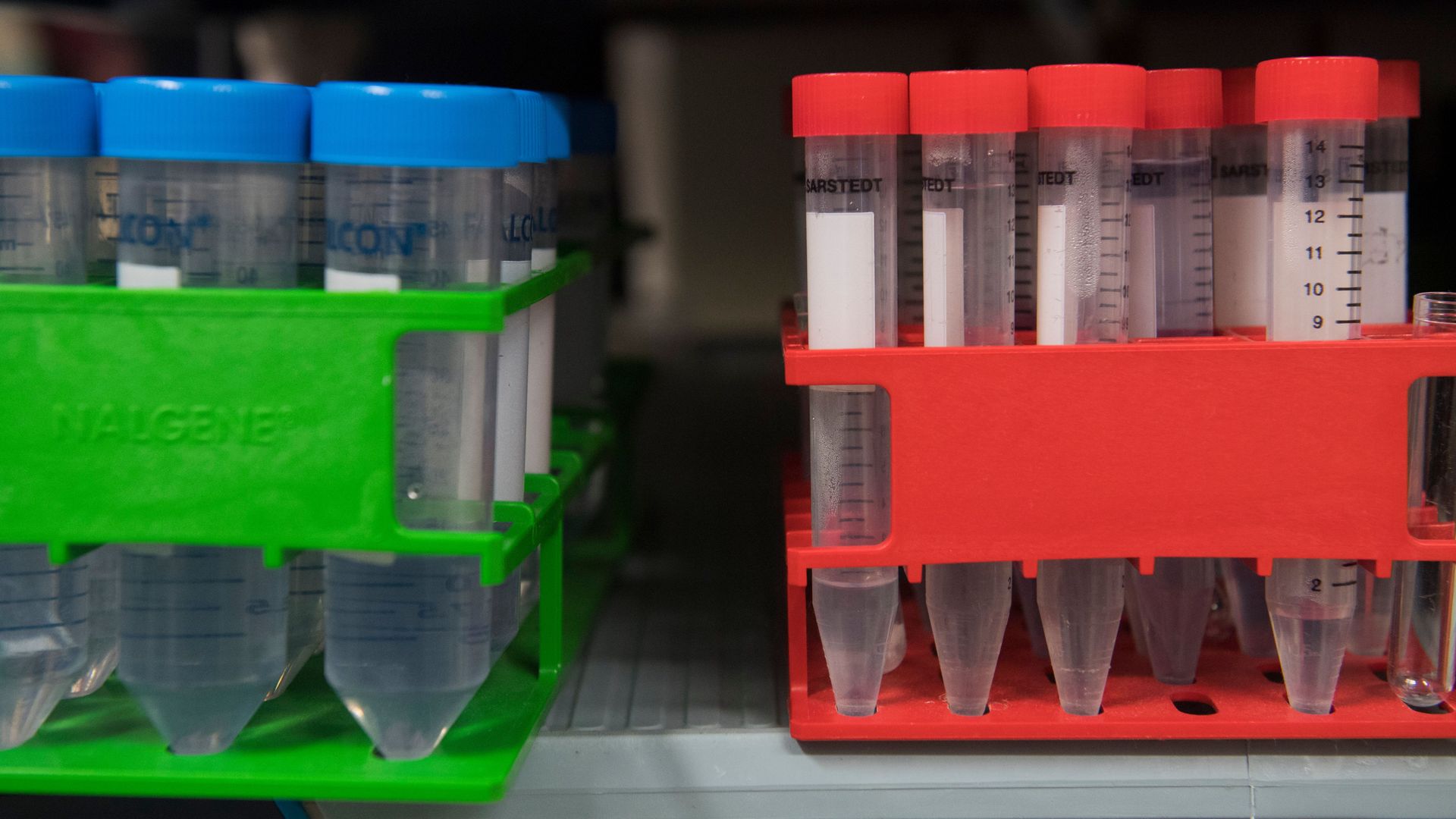 Two sets of test tubes sit in a pharmaceutical lab.
