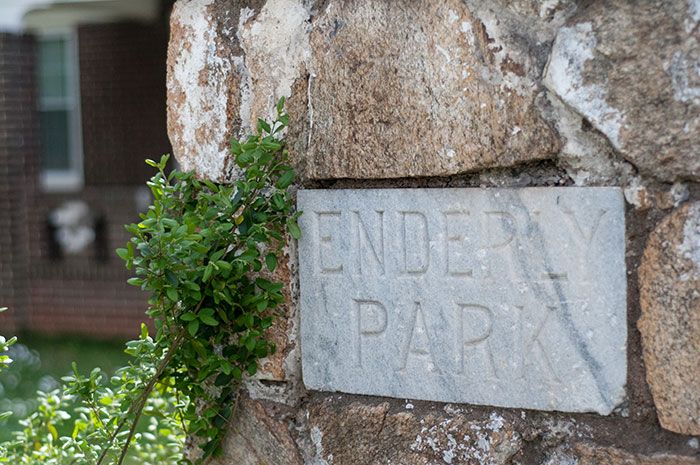 Photo by Lesley-Ann Tommey