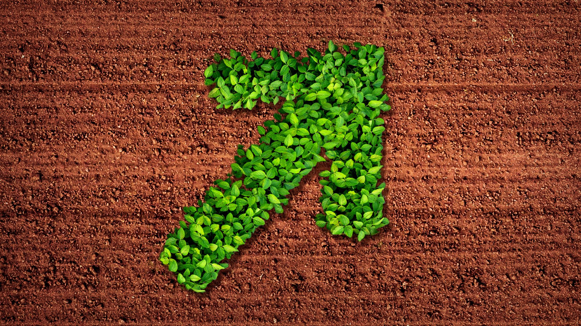 Illustration of a row of crops in the shape of an upward arrow.