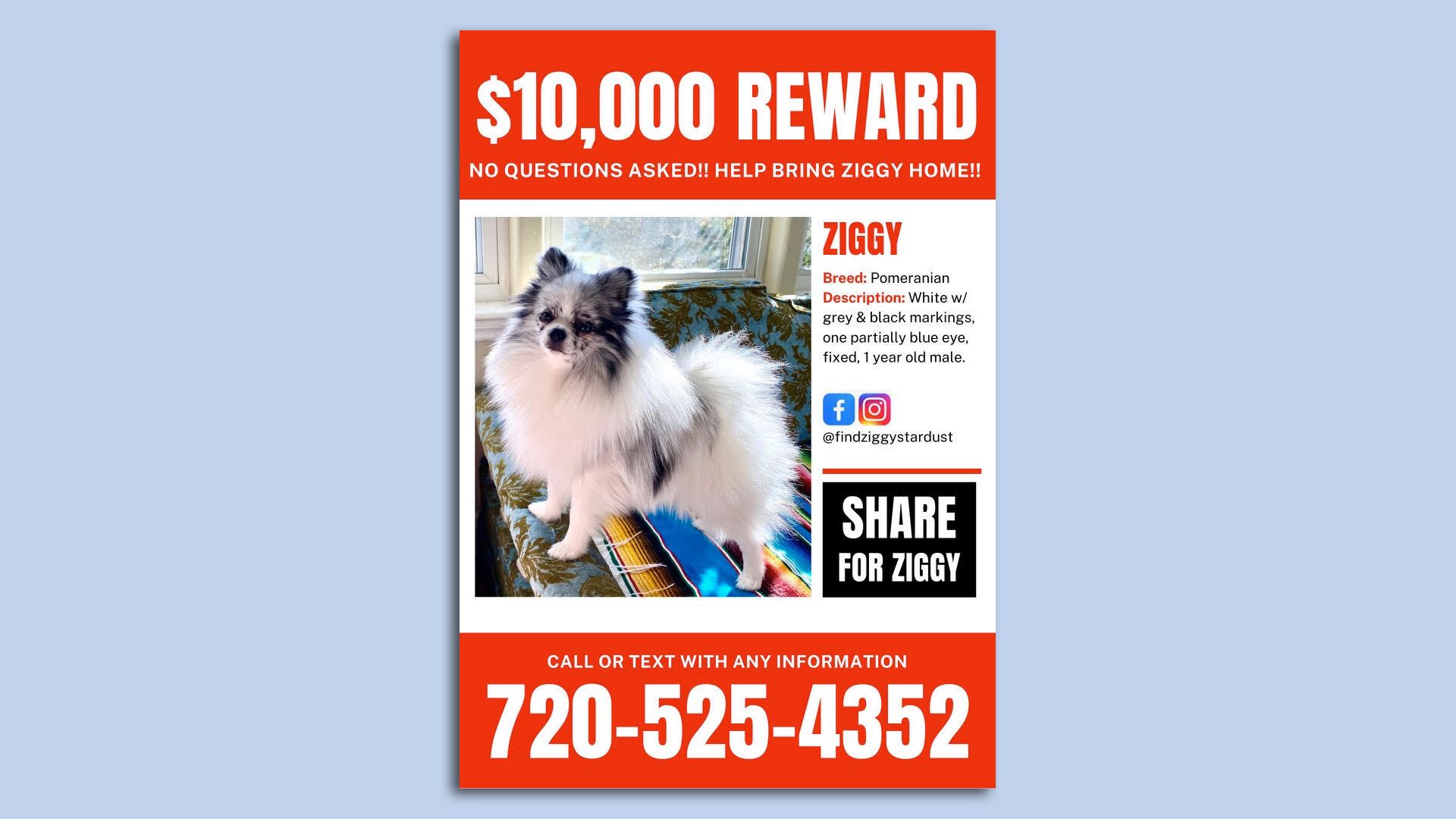 The "lost" flyer for Ziggy Stardust.