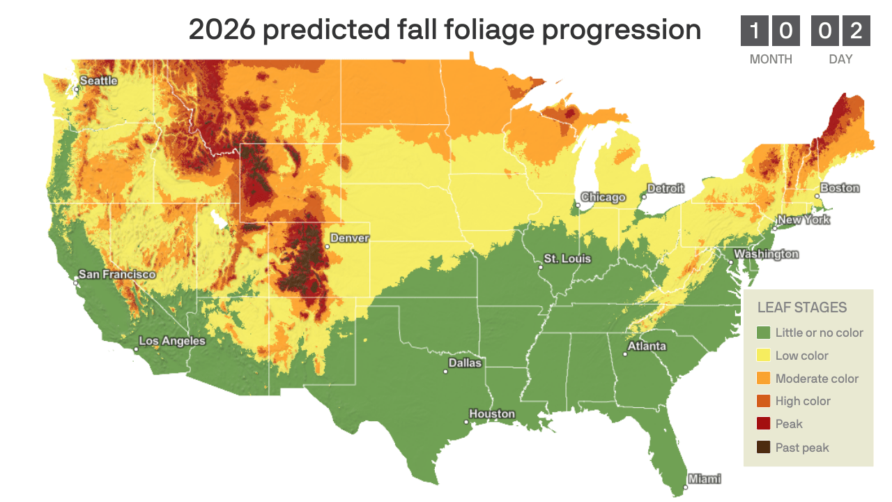 US map showing 2026 predicted fall foliage progression; color scale from green (little/no color) to red/brown (peak/past peak); major cities labeled; legend on the right.