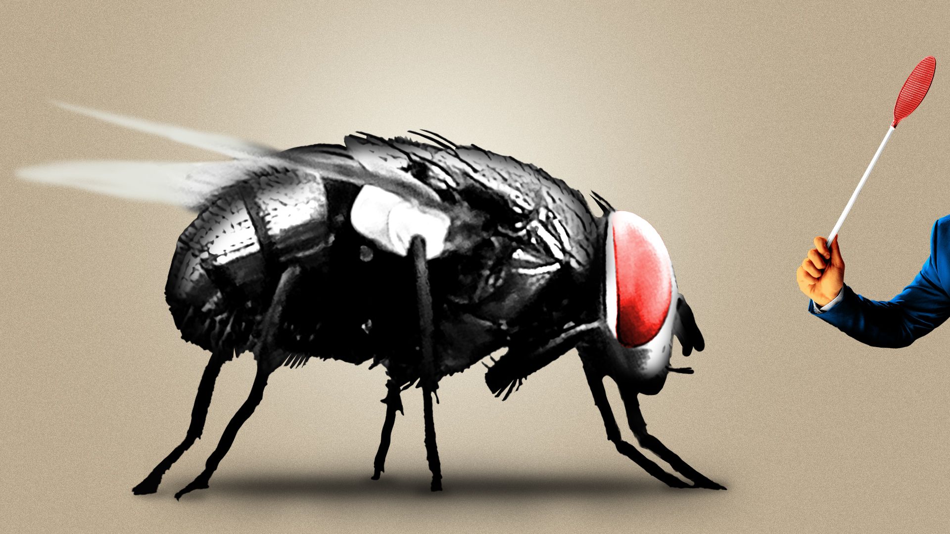 Illustration of a giant screwworm next to a small arm with a fly swatter