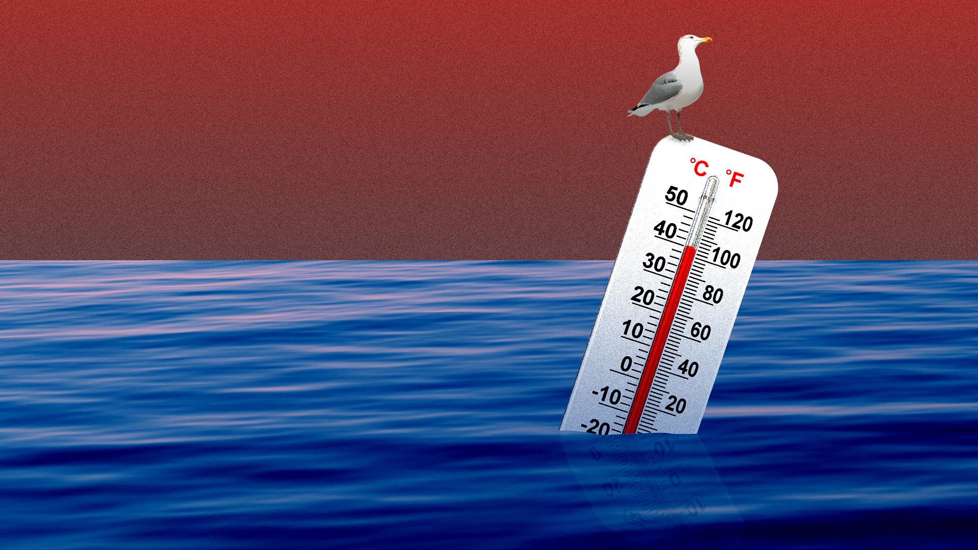 Illustration of thermometer floating in the ocean.