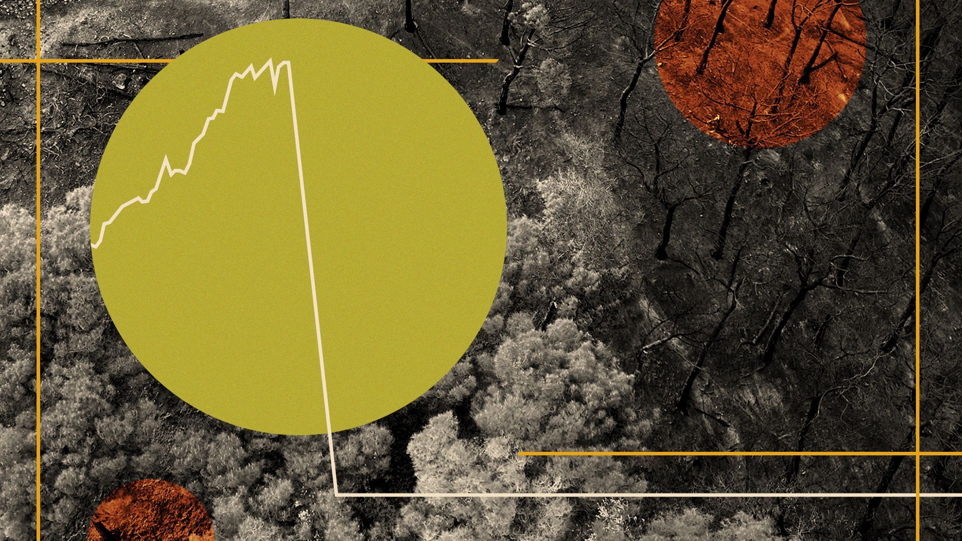 Photo illustration of a line chart, photos of deforestation, and abstract shapes.