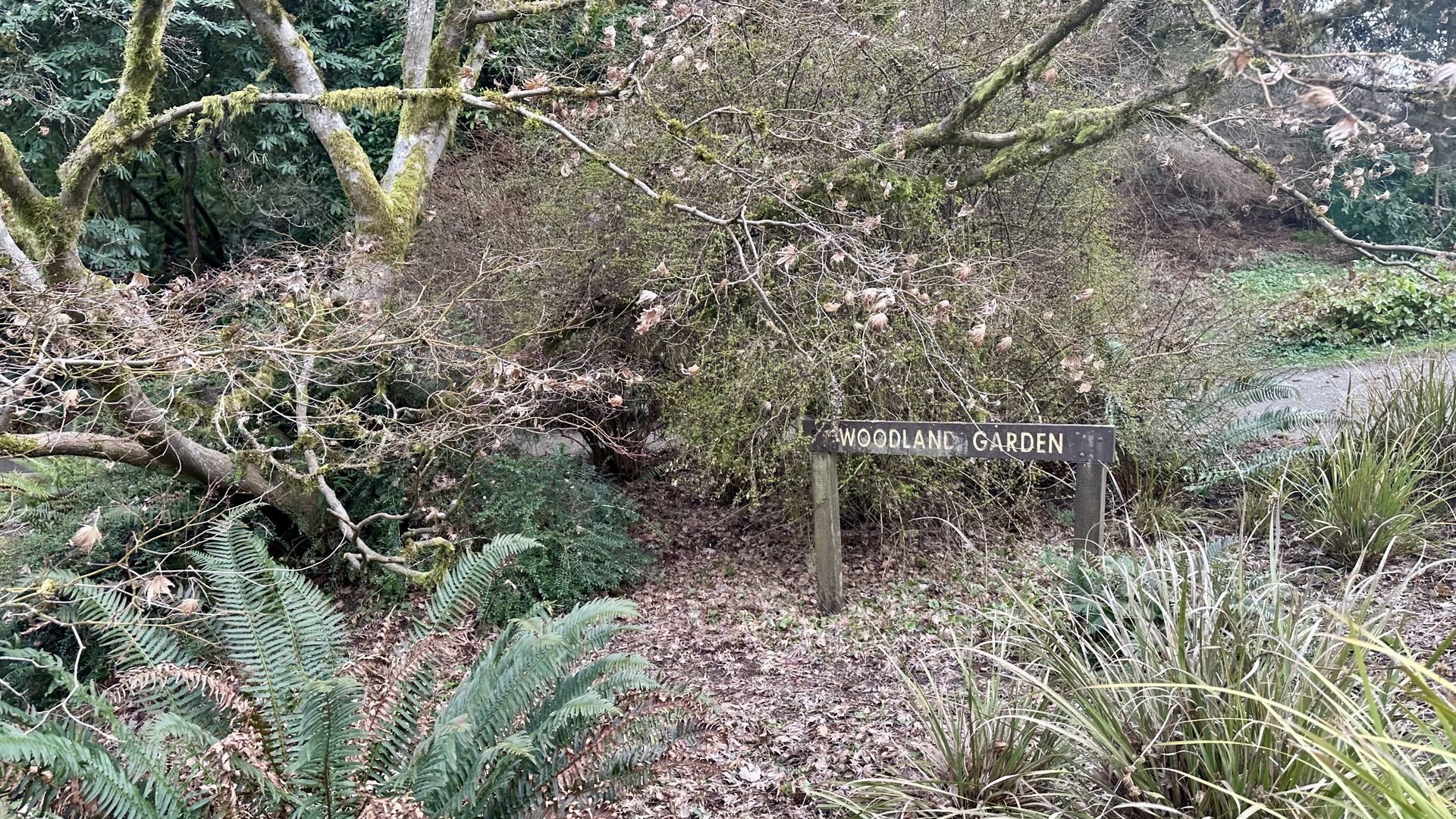 A wooden sign marks a garden. 