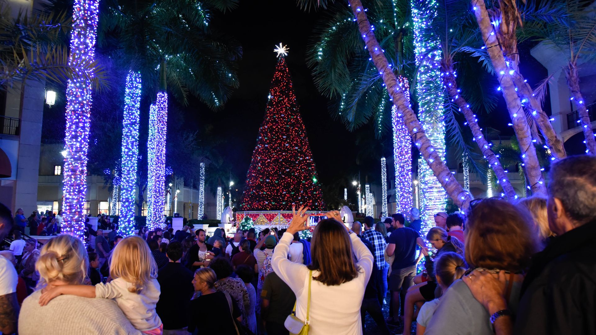 Where to See Christmas Lights in Miami 2023 - PureWow